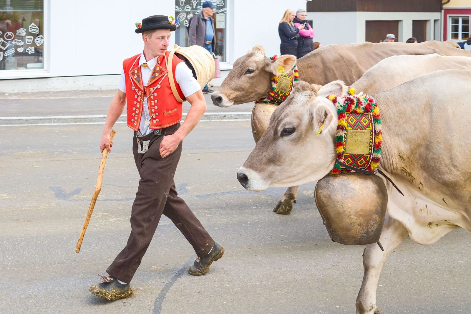 2025 Toggenburg Viehschau Archiv – Foto 22