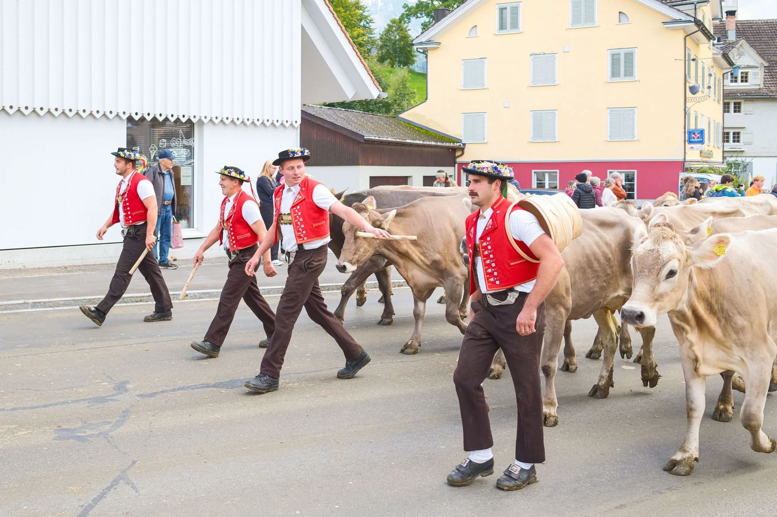 2025 Toggenburg Viehschau Archiv – Foto 23