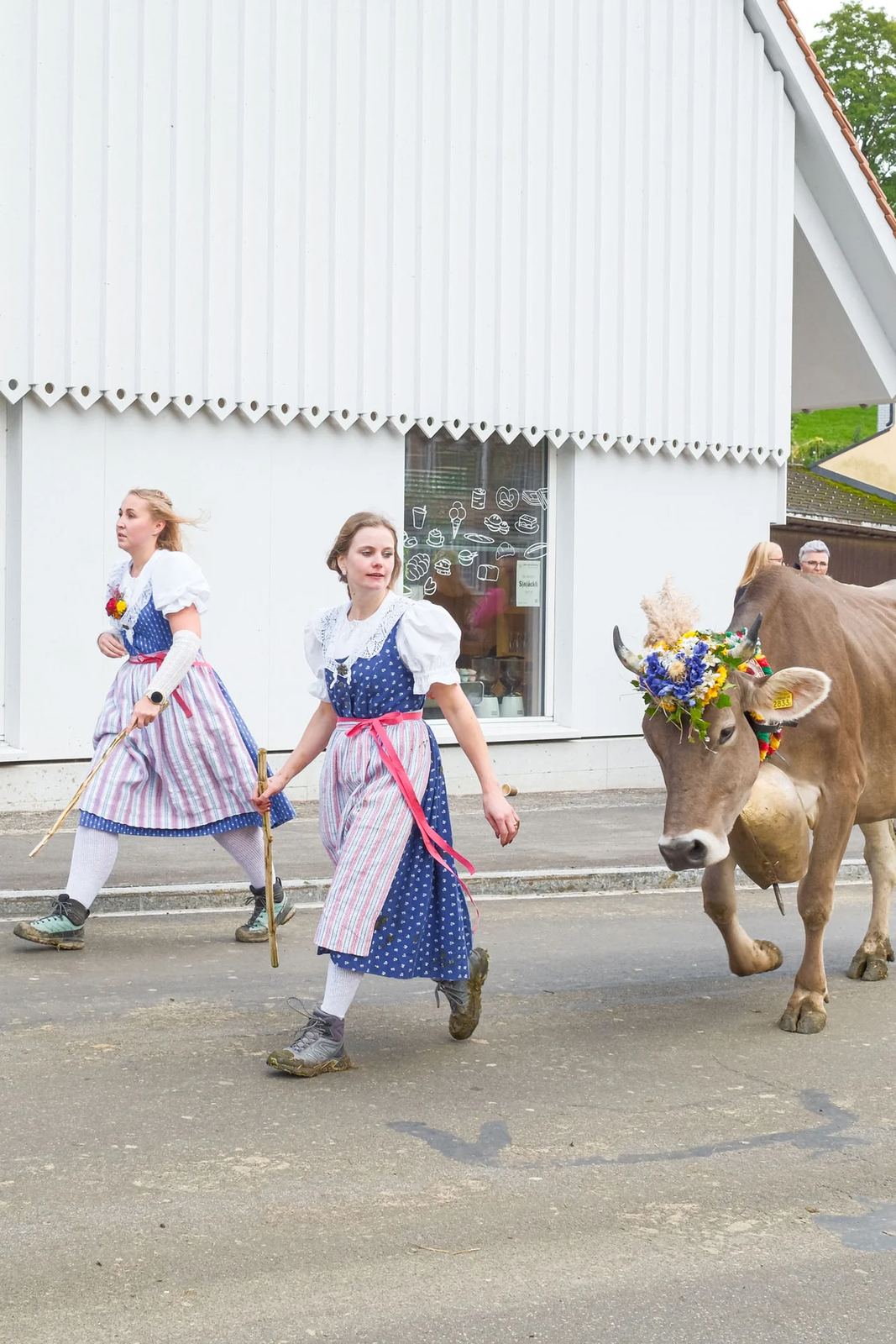 2025 Toggenburg Viehschau Archiv – Foto 26