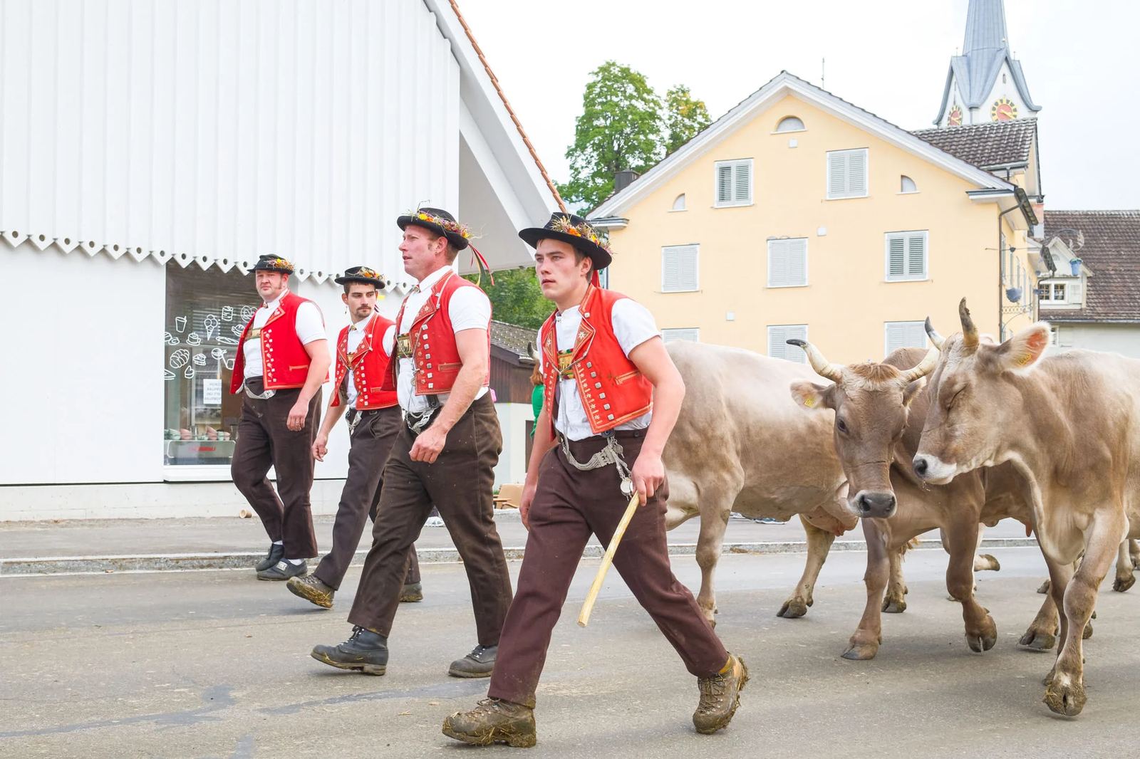 2025 Toggenburg Viehschau Archiv – Foto 27