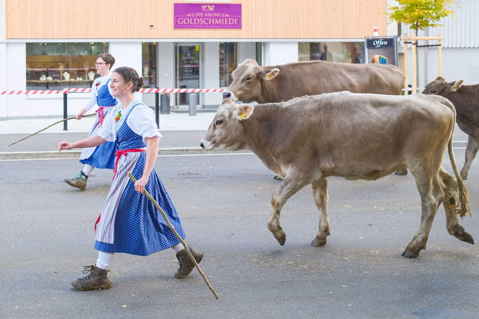 2025 Toggenburg Viehschau Archiv – Foto 30