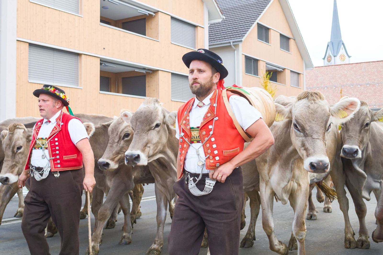 2025 Toggenburg Viehschau Archiv – Foto 34