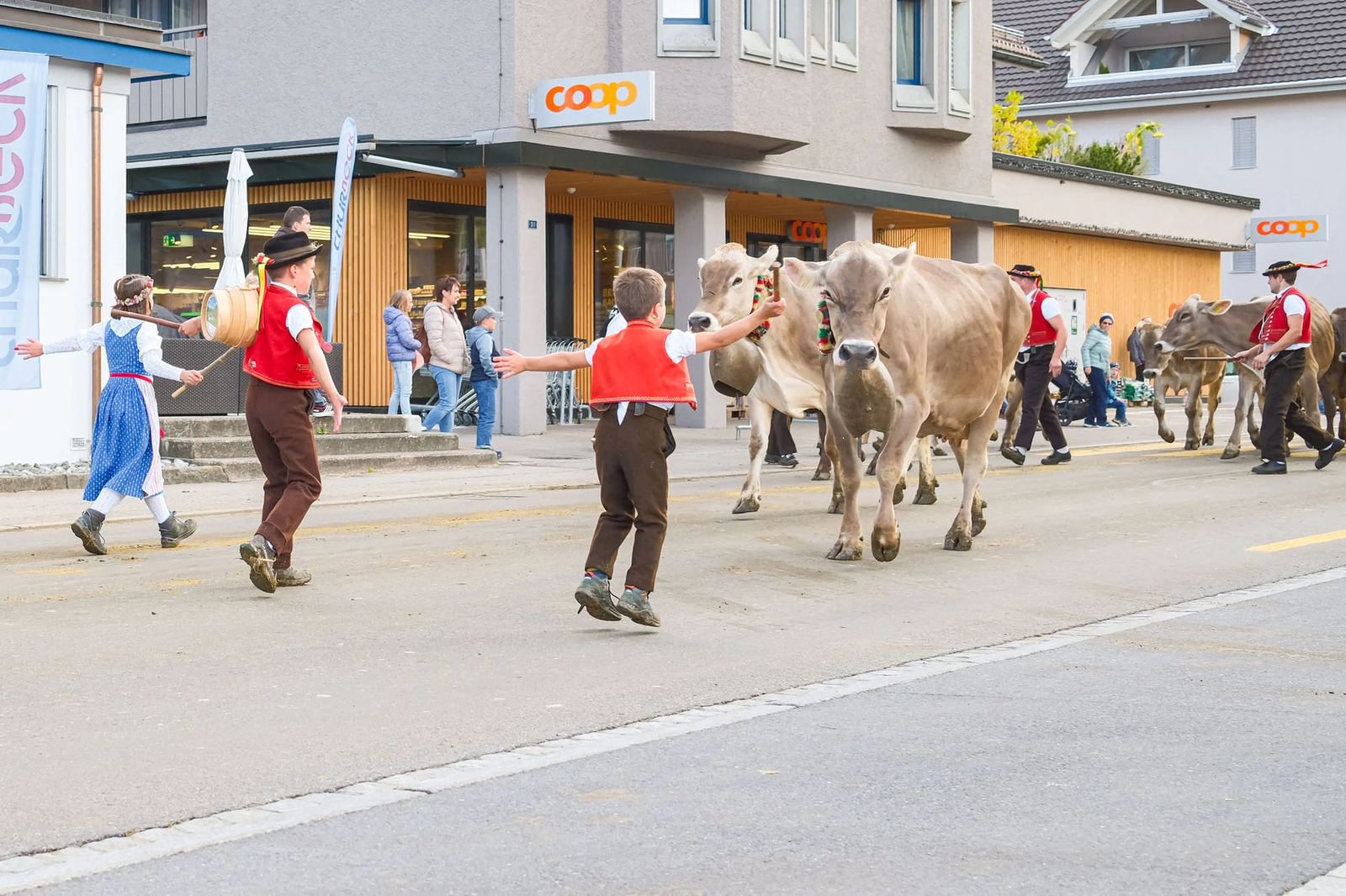 2025 Toggenburg Viehschau Archiv – Foto 43