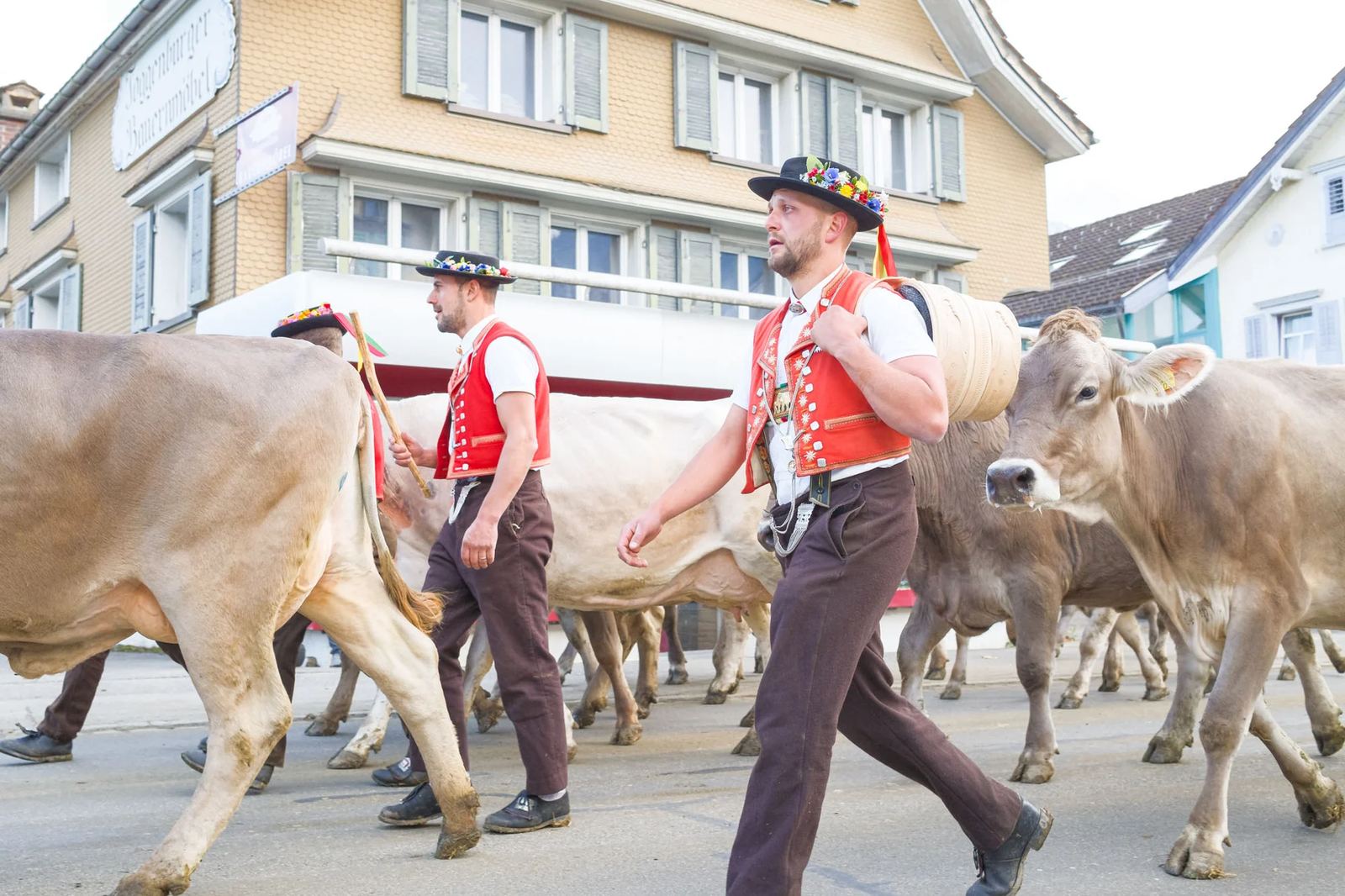2025 Toggenburg Viehschau Archiv – Foto 49