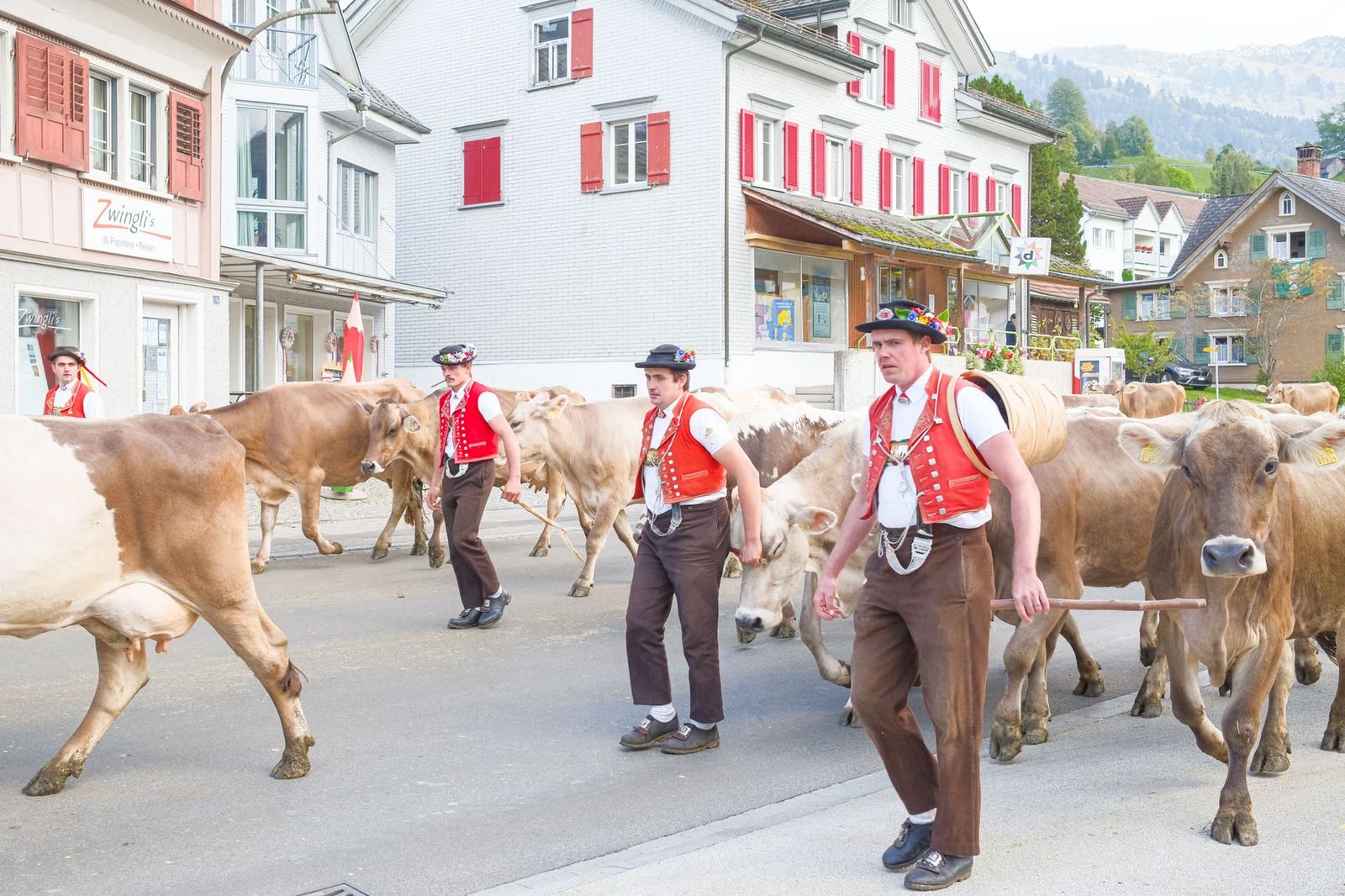 2025 Toggenburg Viehschau Archiv – Foto 52