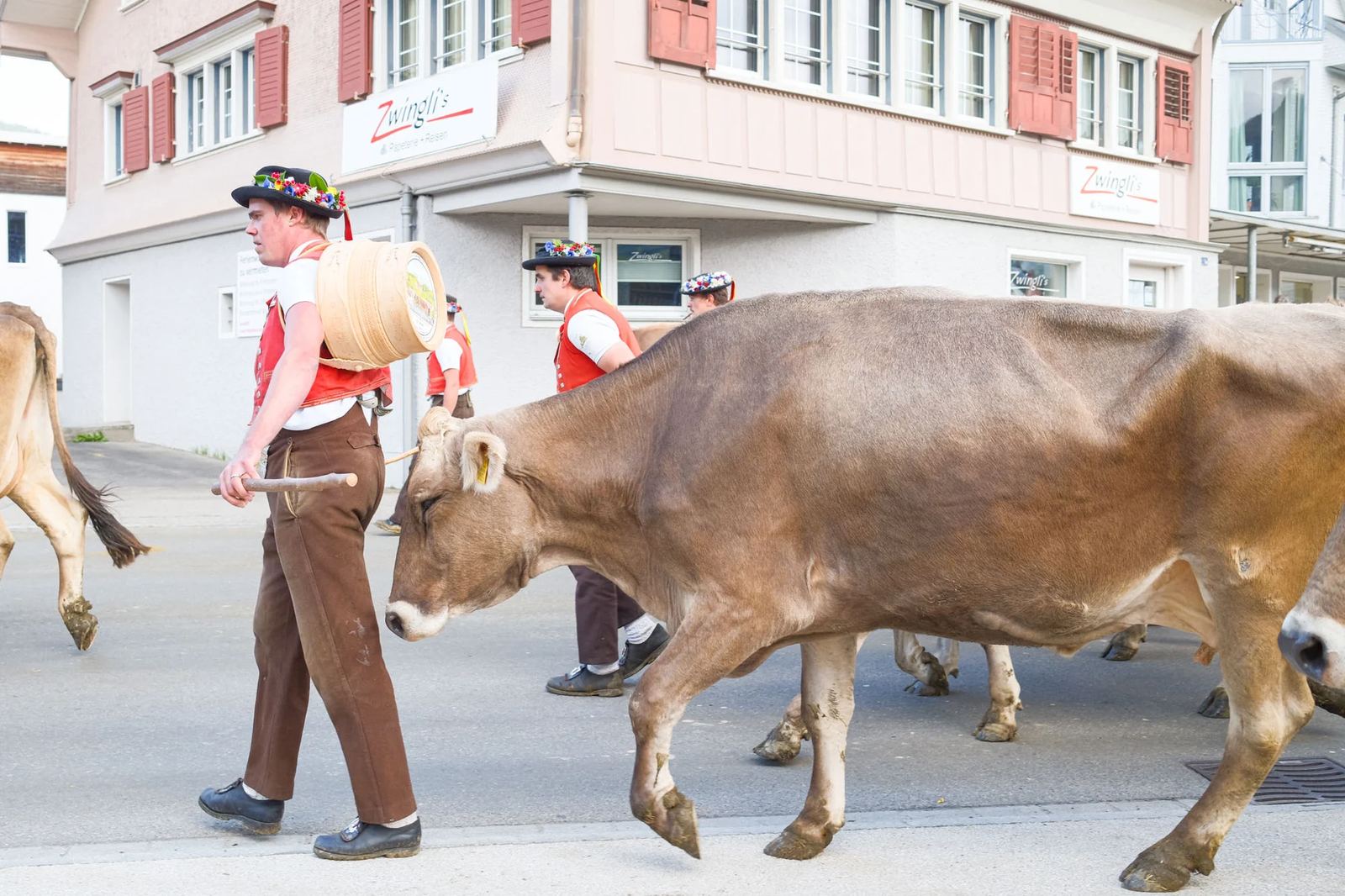 2025 Toggenburg Viehschau Archiv – Foto 53