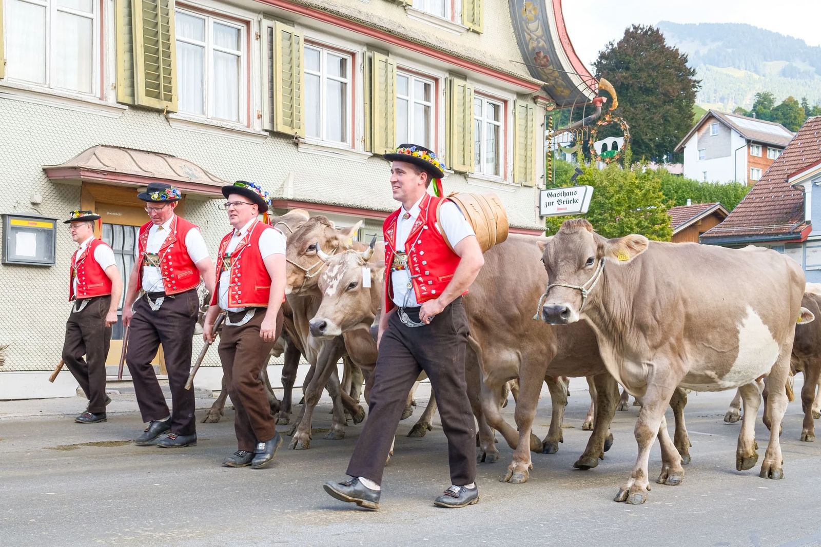 2025 Toggenburg Viehschau Archiv – Foto 58