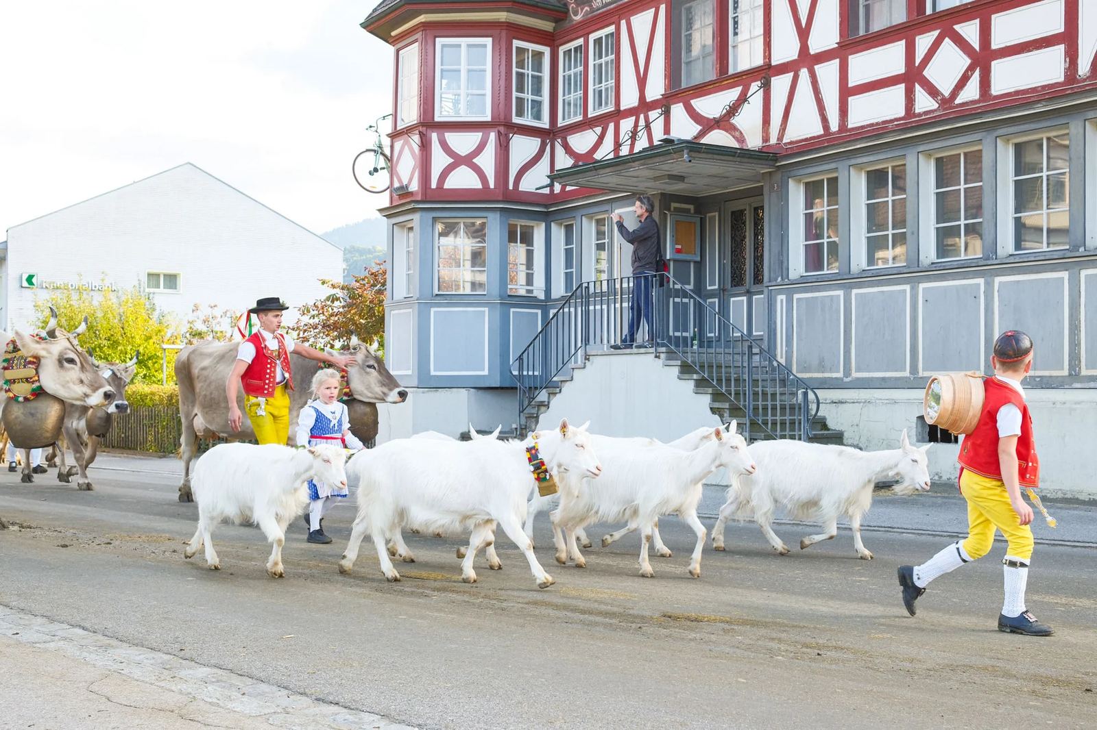 2025 Toggenburg Viehschau Archiv – Foto 61