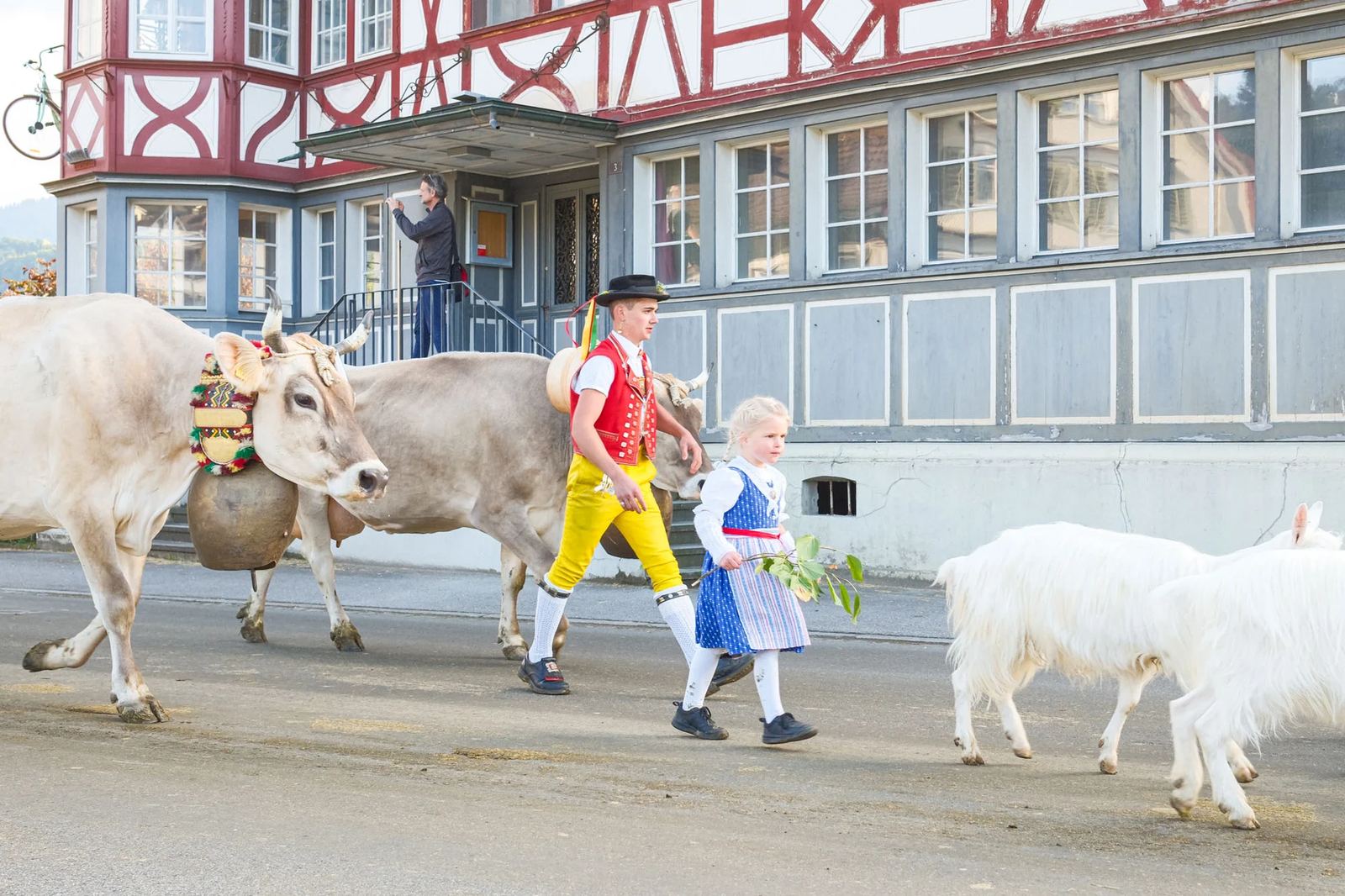 2025 Toggenburg Viehschau Archiv – Foto 62