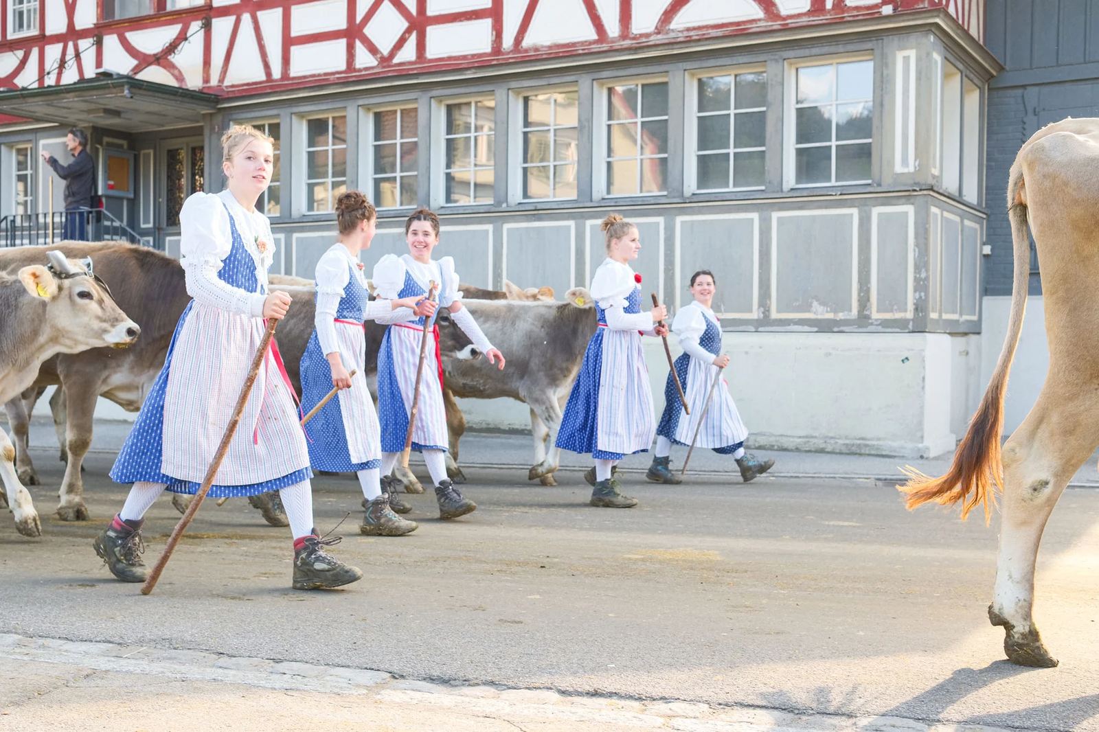 2025 Toggenburg Viehschau Archiv – Foto 64