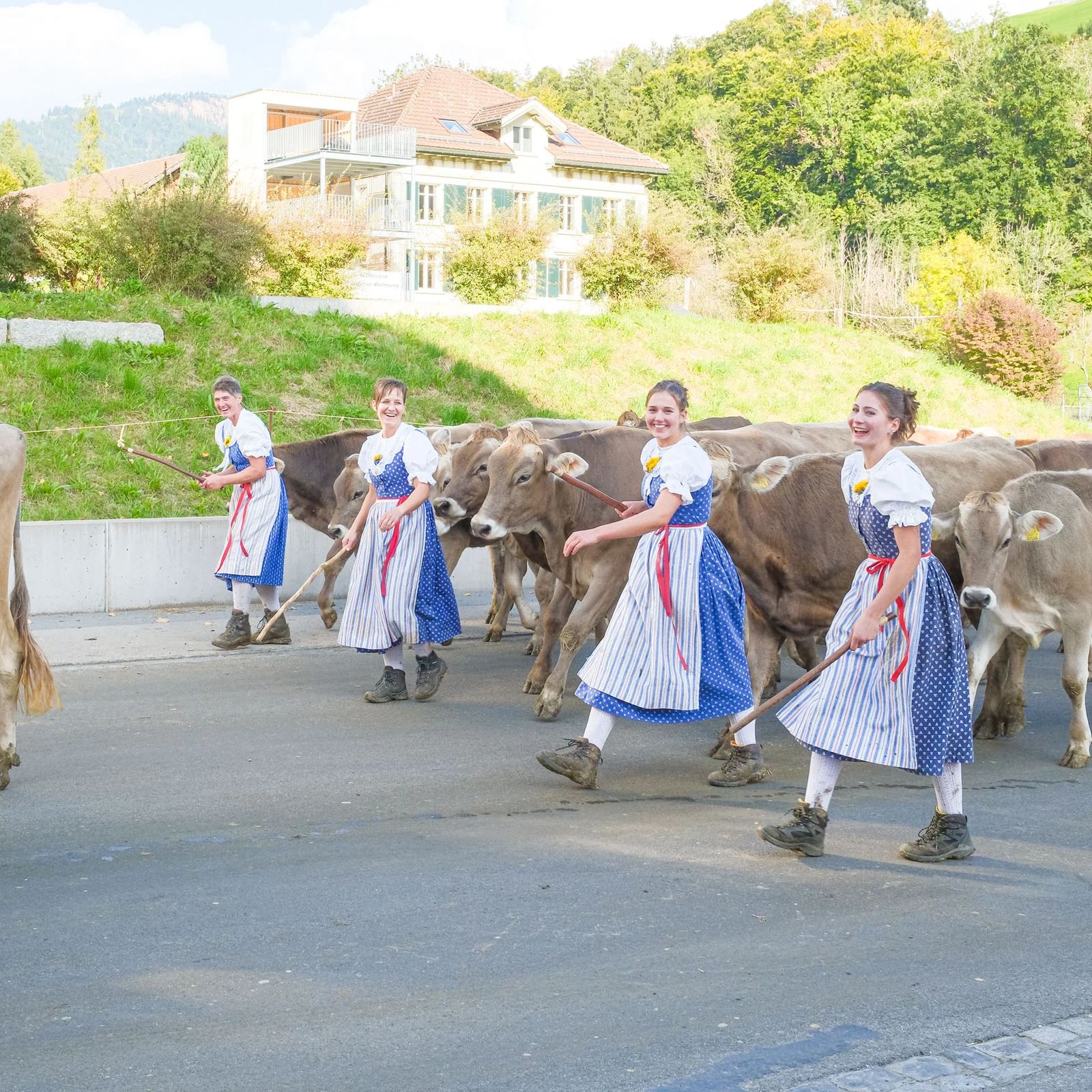 2025 Toggenburg Viehschau Archiv – Foto 70