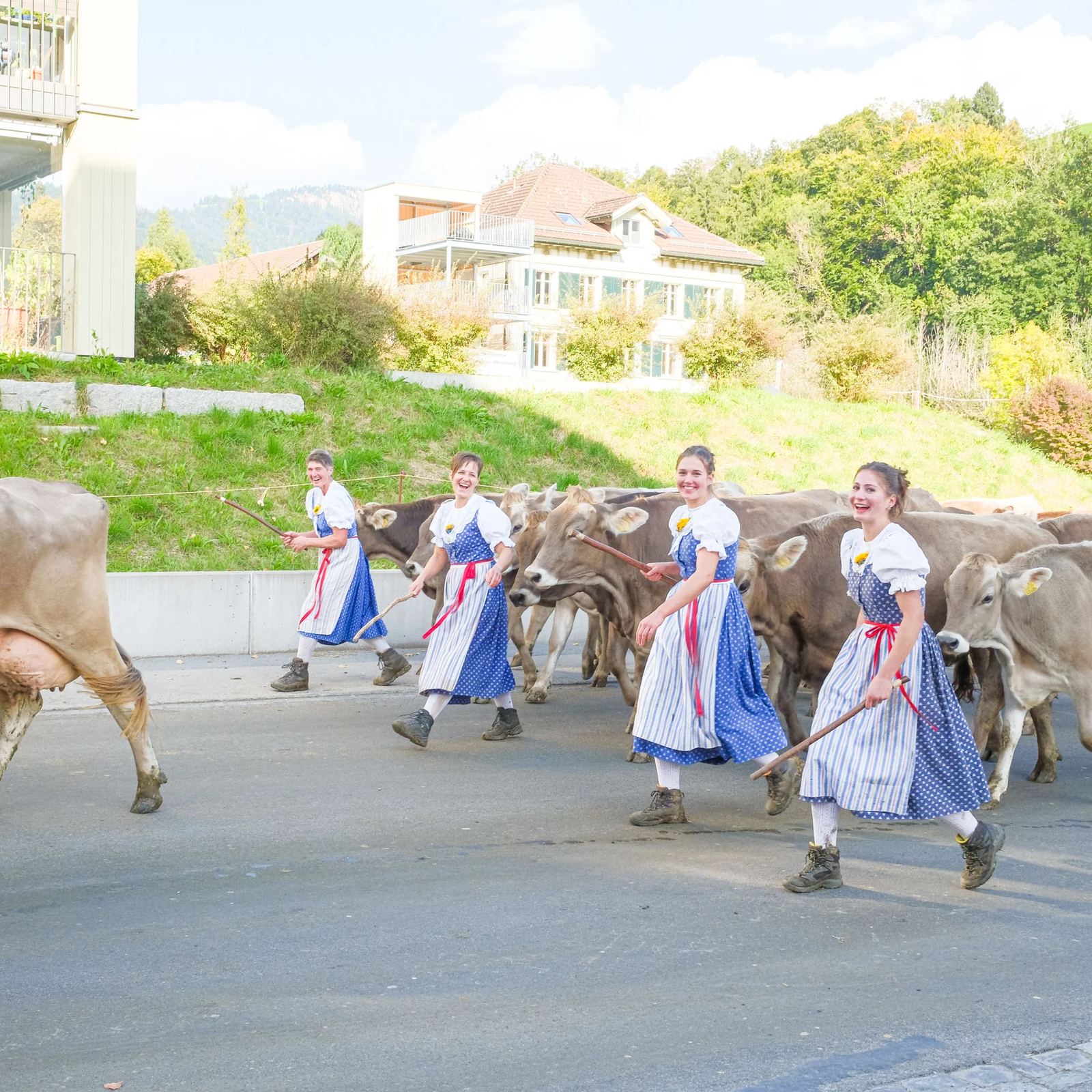 2025 Toggenburg Viehschau Archiv – Foto 71