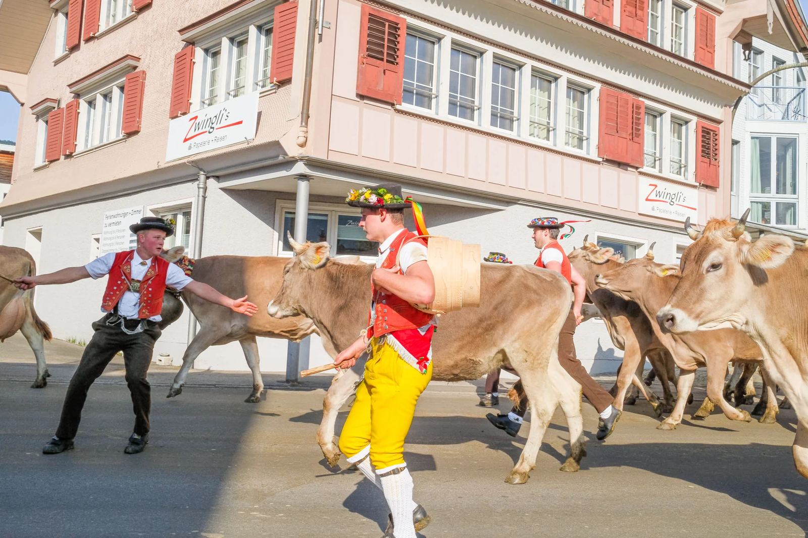 2025 Toggenburg Viehschau Archiv – Foto 79