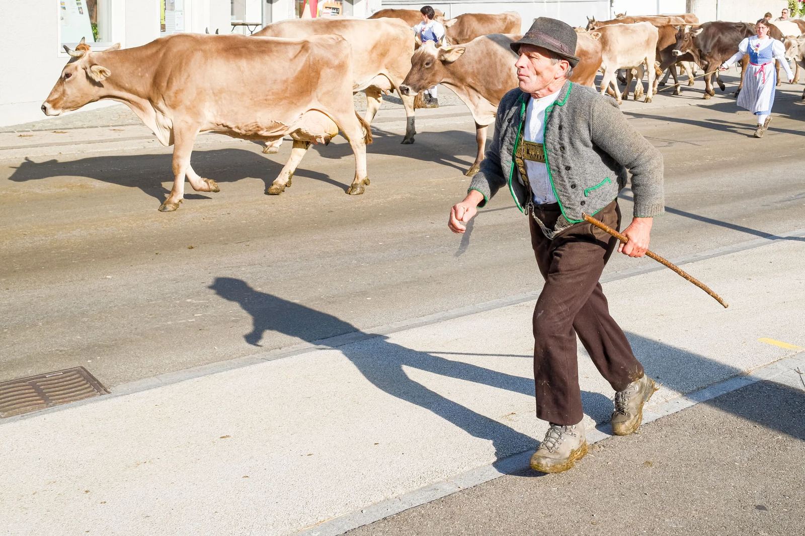 2025 Toggenburg Viehschau Archiv – Foto 80