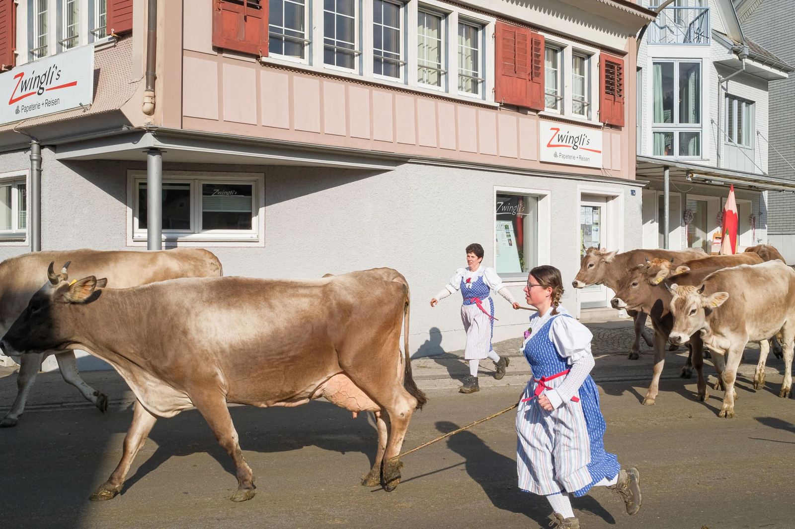 2025 Toggenburg Viehschau Archiv – Foto 81
