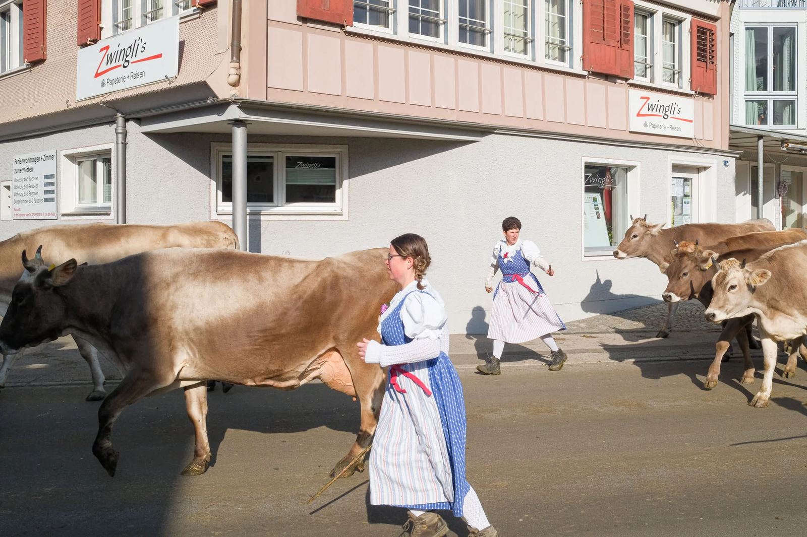 2025 Toggenburg Viehschau Archiv – Foto 82