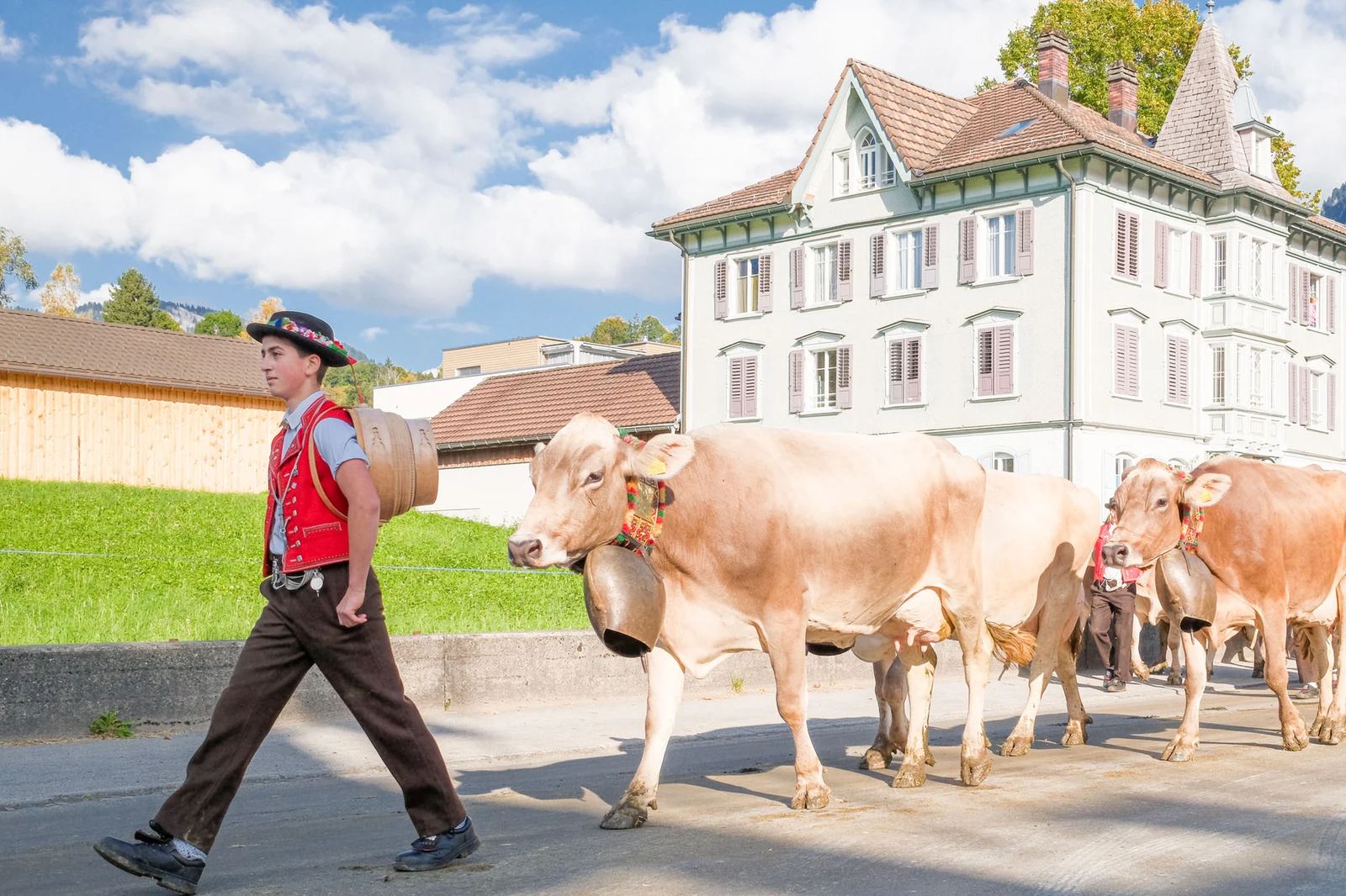 2025 Toggenburg Viehschau Archiv – Foto 91