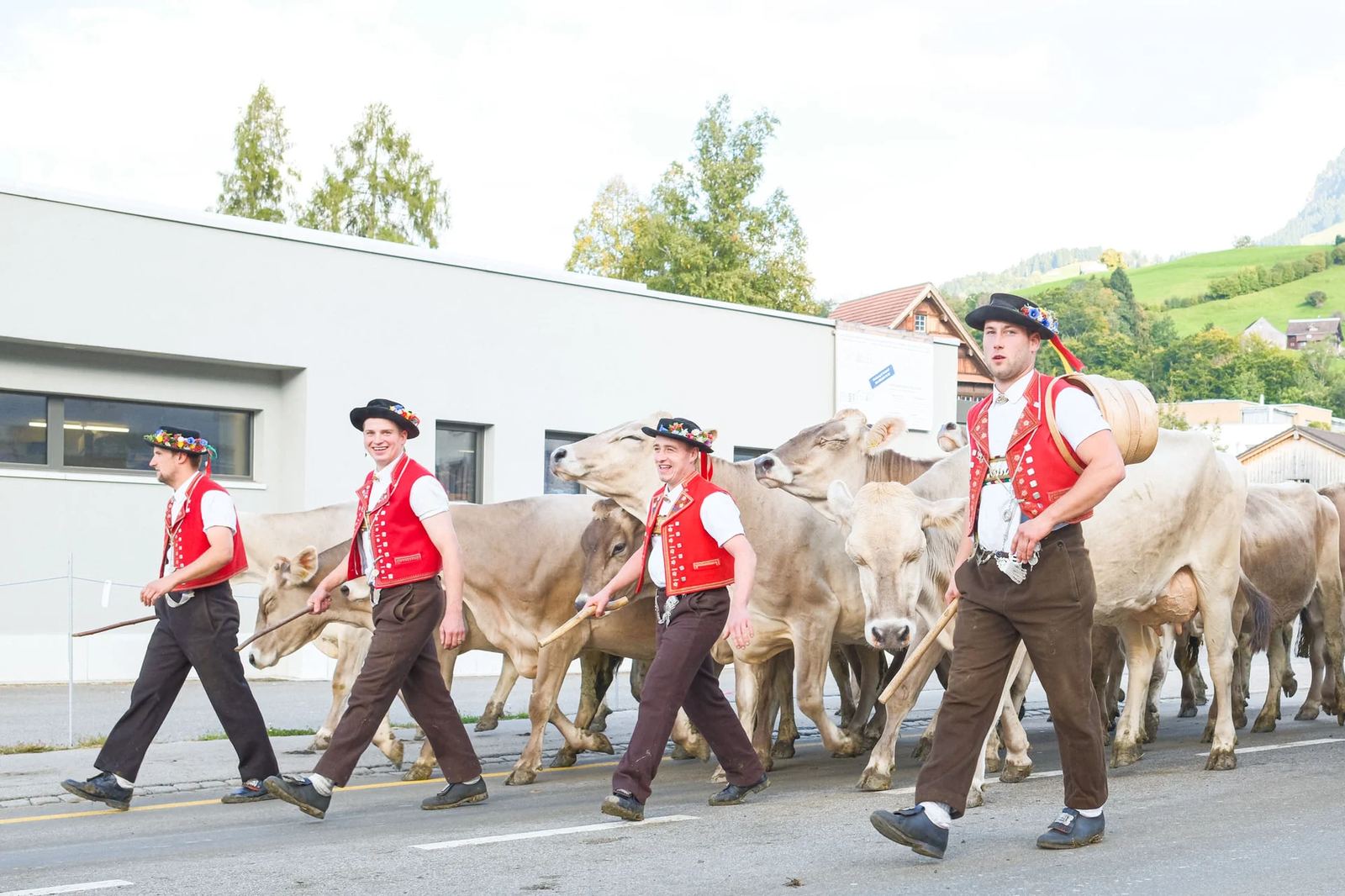 2025 Toggenburg Viehschau Archiv – Foto 97