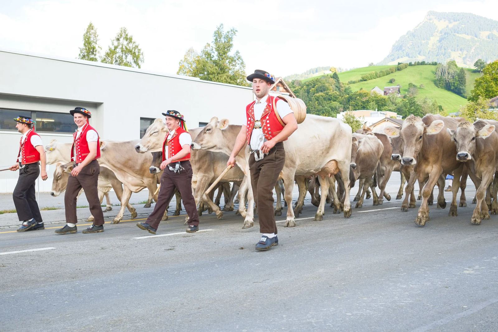 2025 Toggenburg Viehschau Archiv – Foto 98