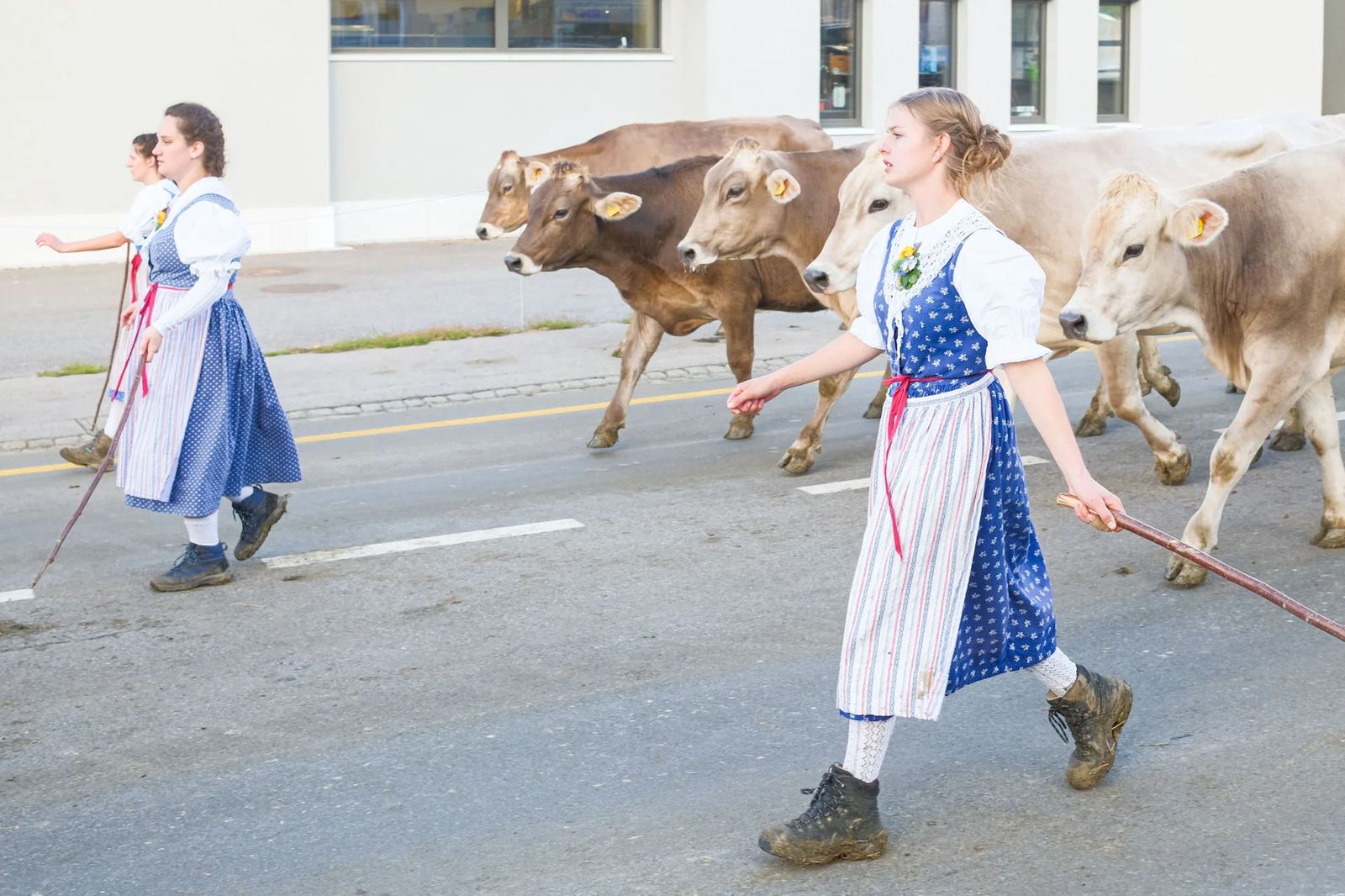 2025 Toggenburg Viehschau Archiv – Foto 99