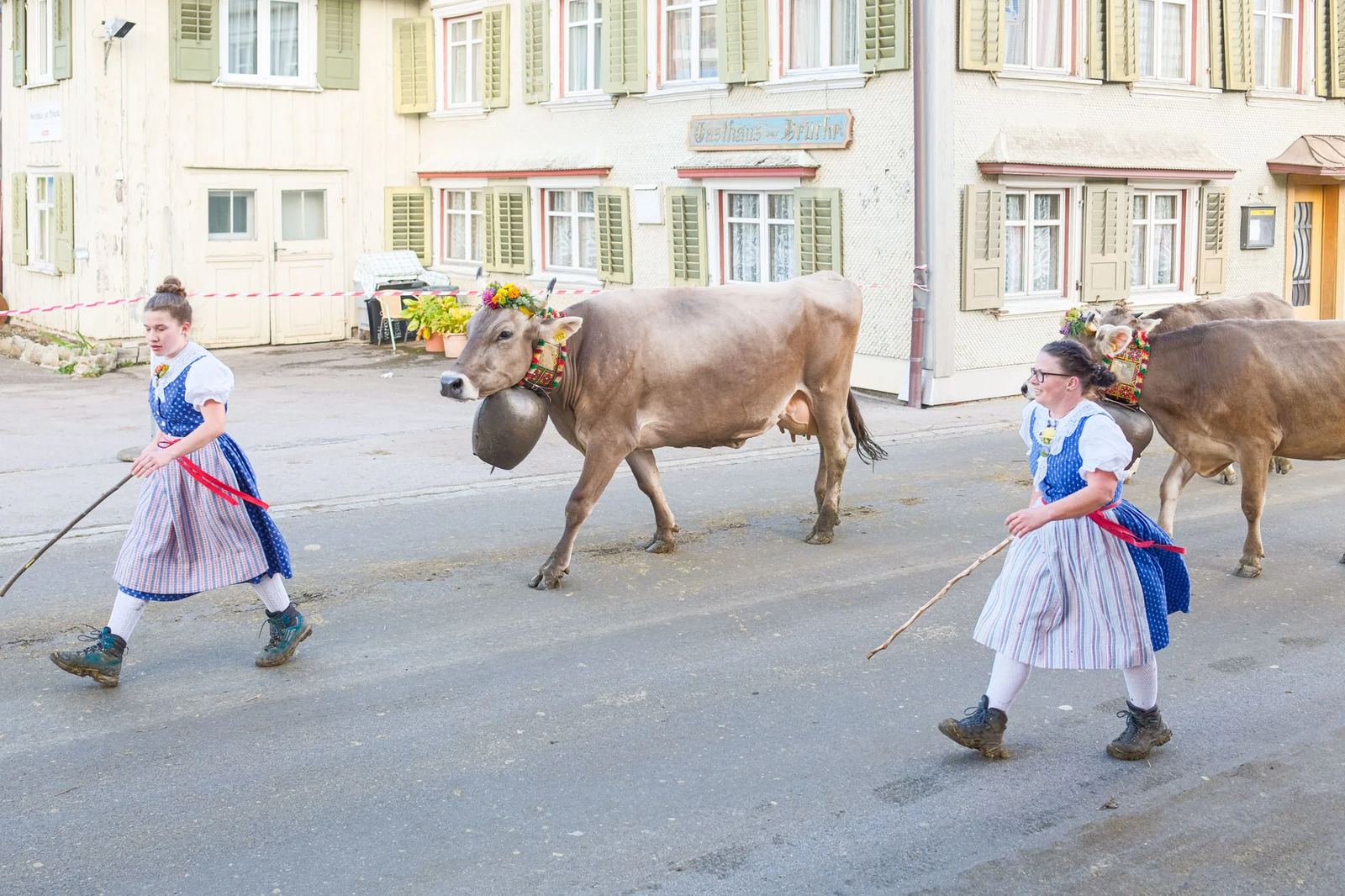 2025 Toggenburg Viehschau Archiv – Foto 104