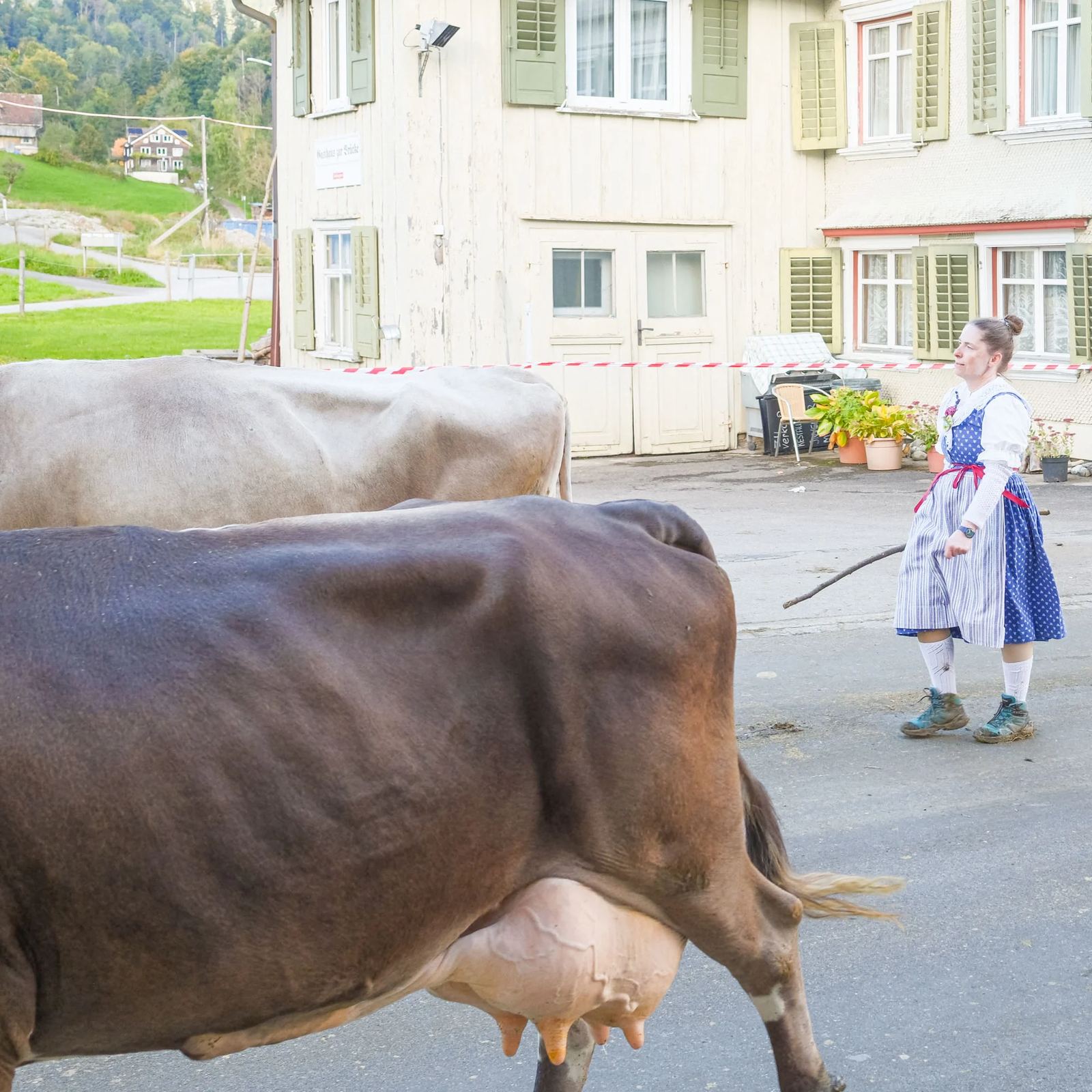 2025 Toggenburg Viehschau Archiv – Foto 107