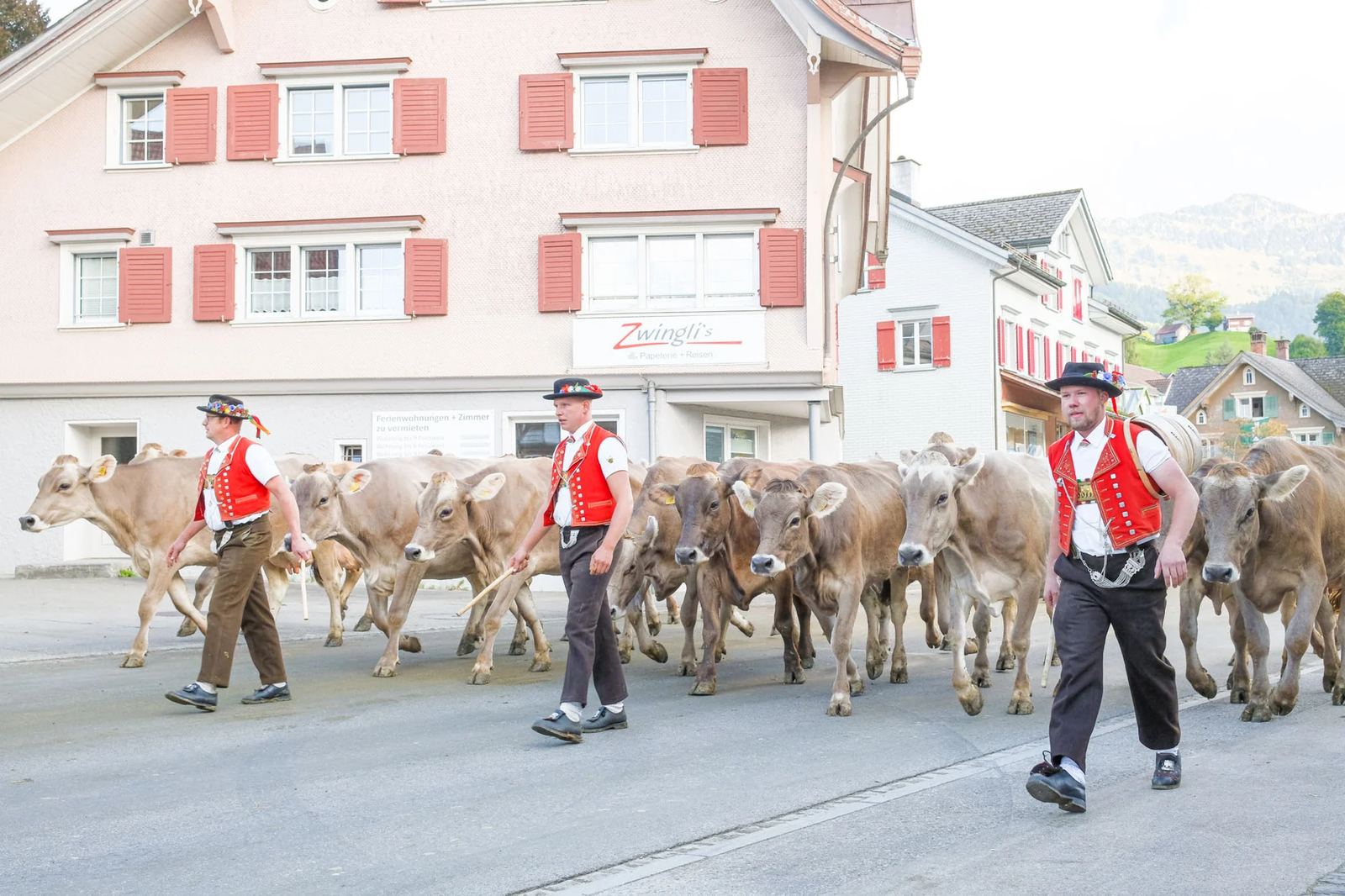 2025 Toggenburg Viehschau Archiv – Foto 109