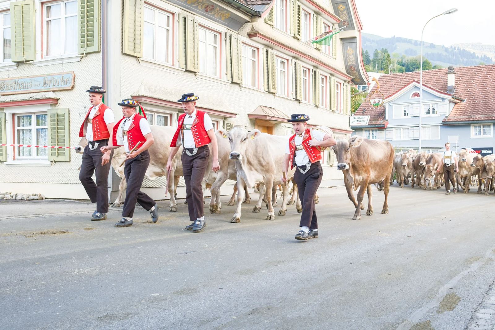 2025 Toggenburg Viehschau Archiv – Foto 111