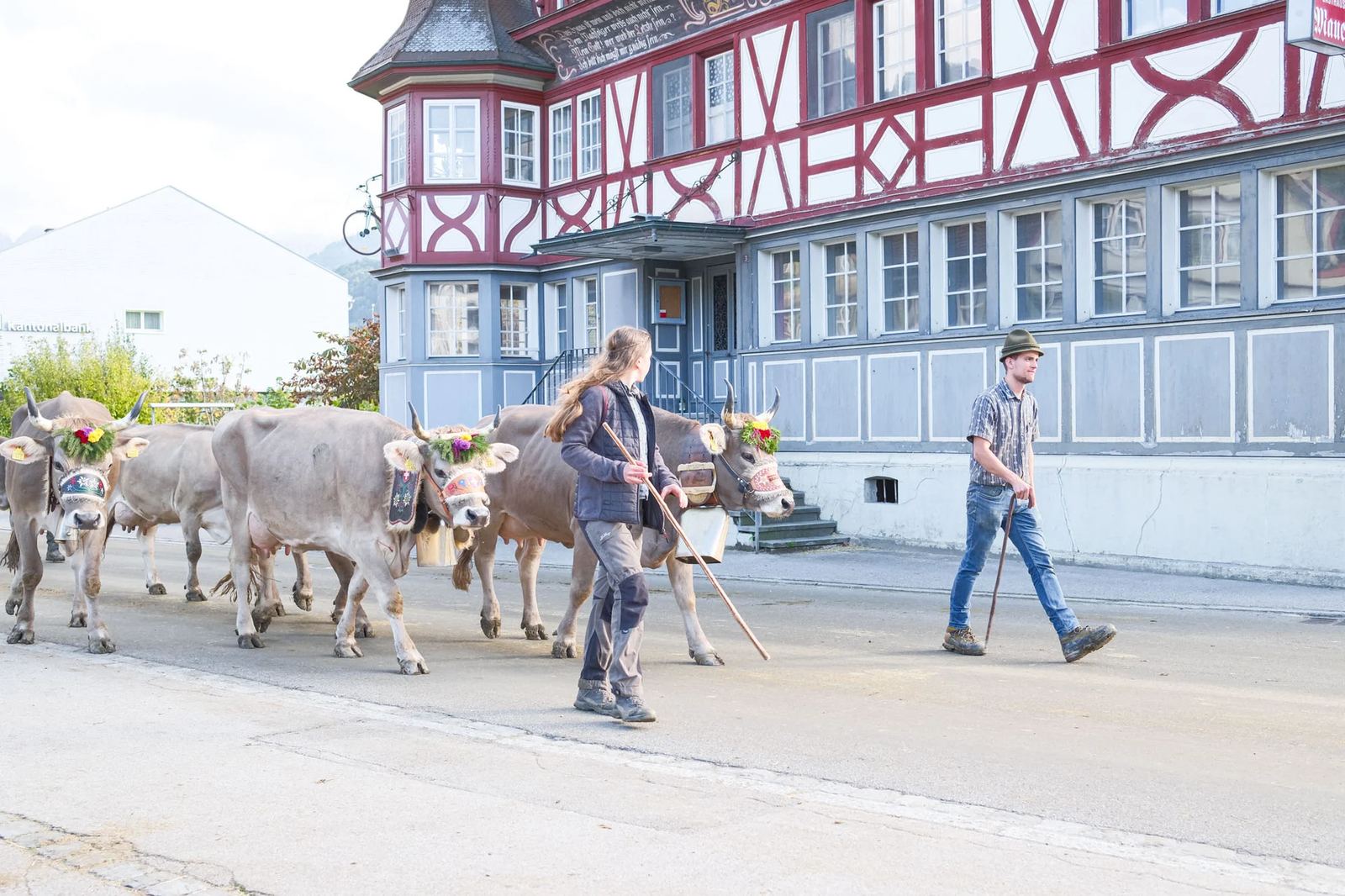 2025 Toggenburg Viehschau Archiv – Foto 129