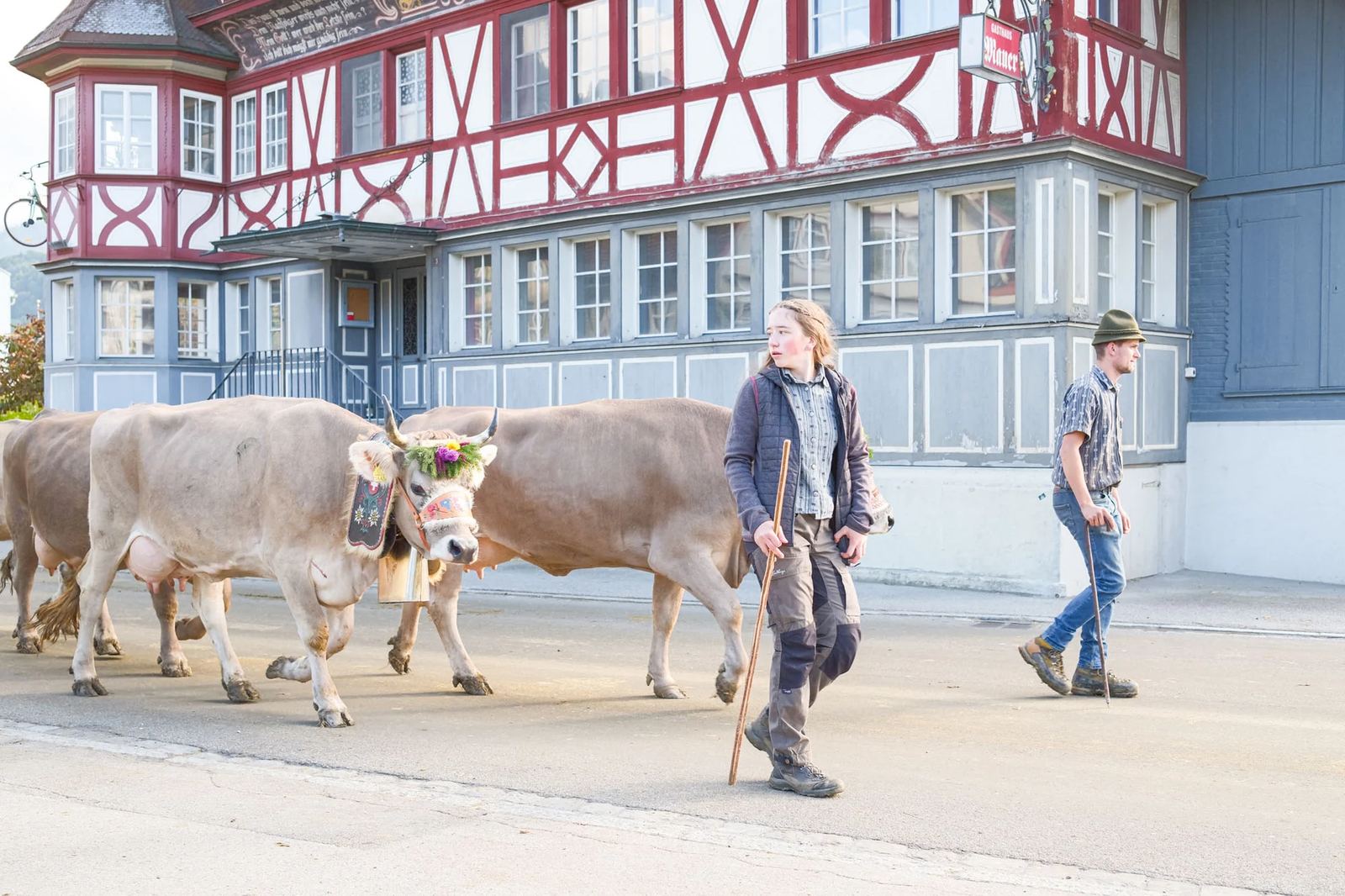 2025 Toggenburg Viehschau Archiv – Foto 130