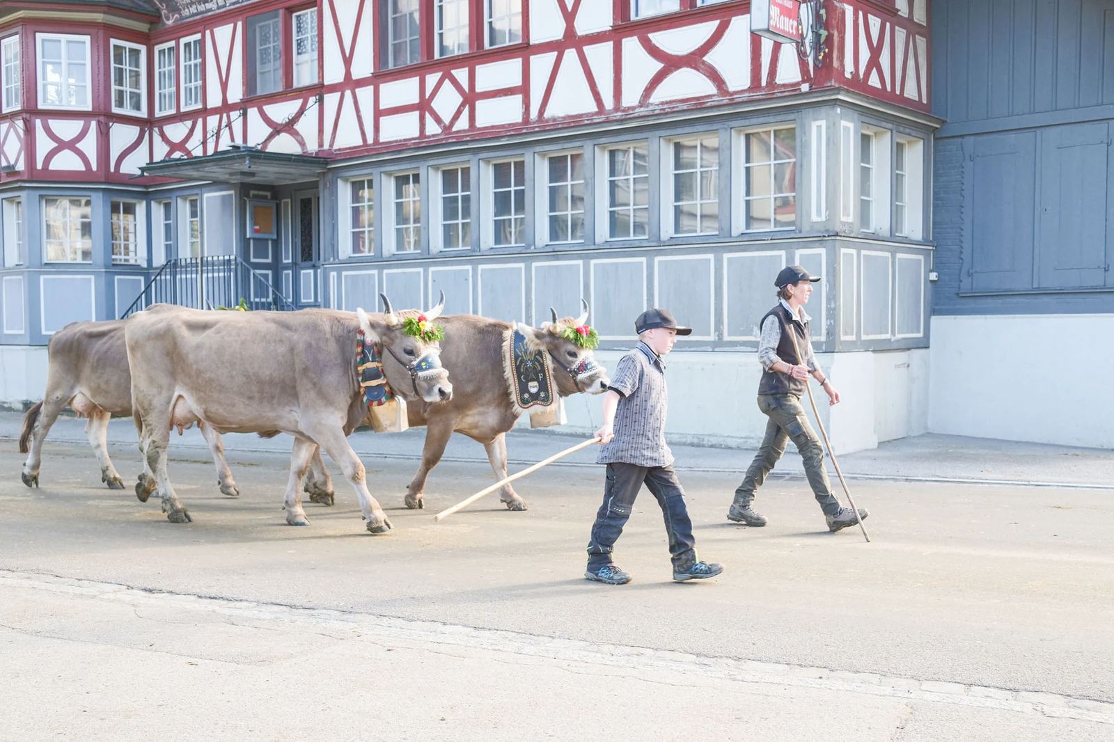 2025 Toggenburg Viehschau Archiv – Foto 132