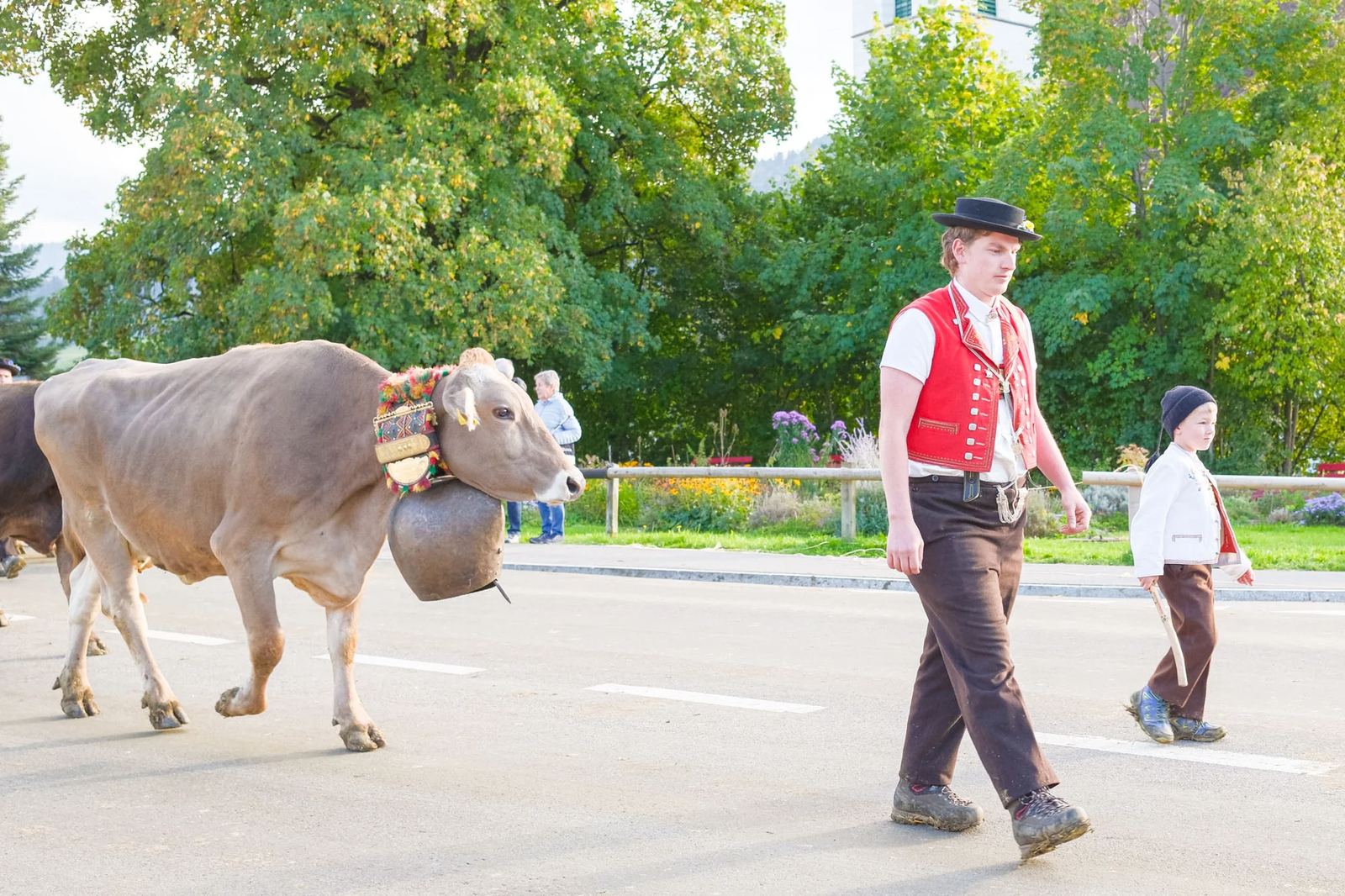 2025 Toggenburg Viehschau Archiv – Foto 137