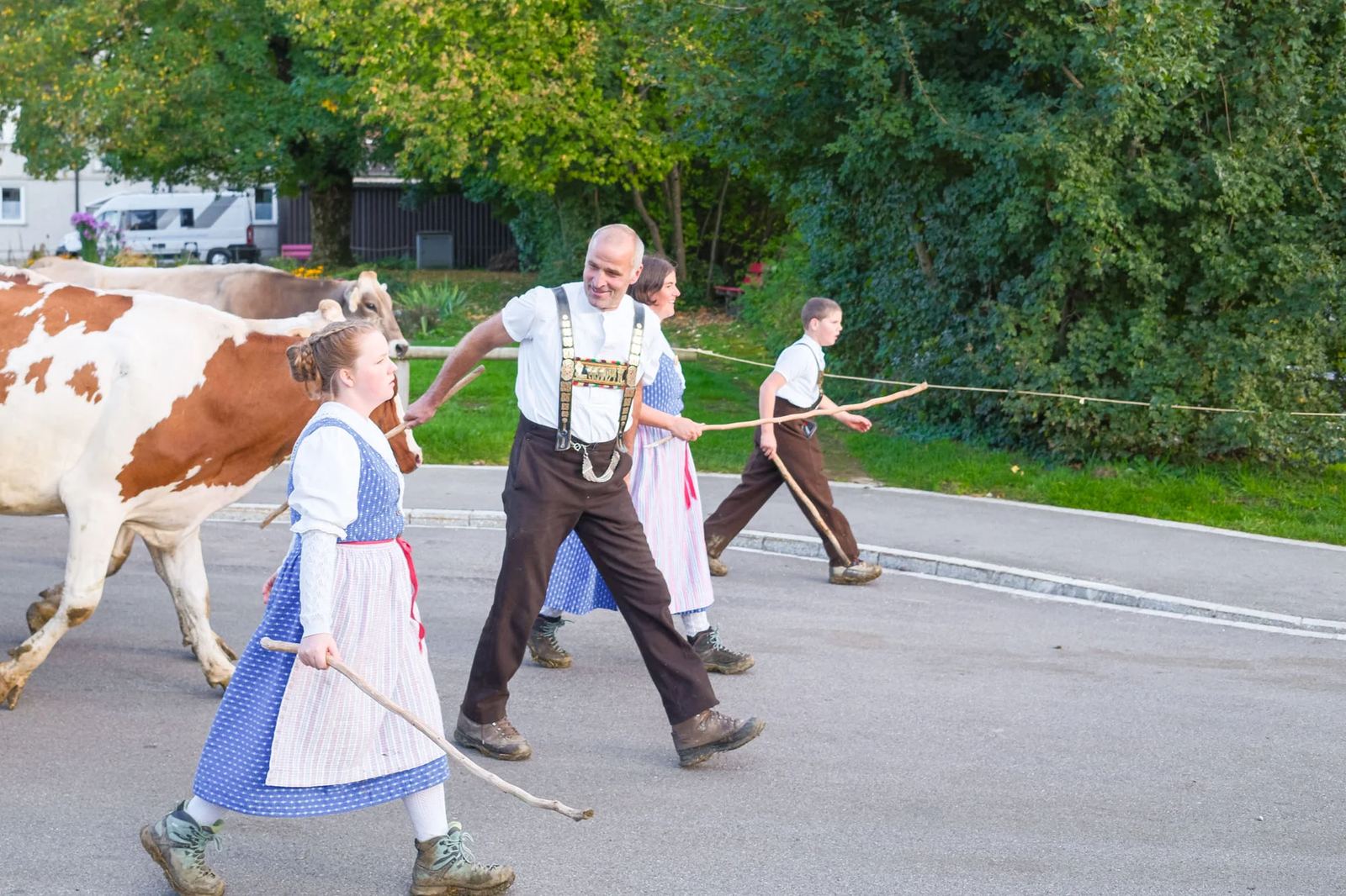 2025 Toggenburg Viehschau Archiv – Foto 144