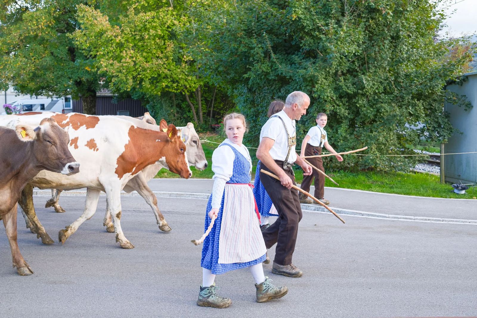 2025 Toggenburg Viehschau Archiv – Foto 145