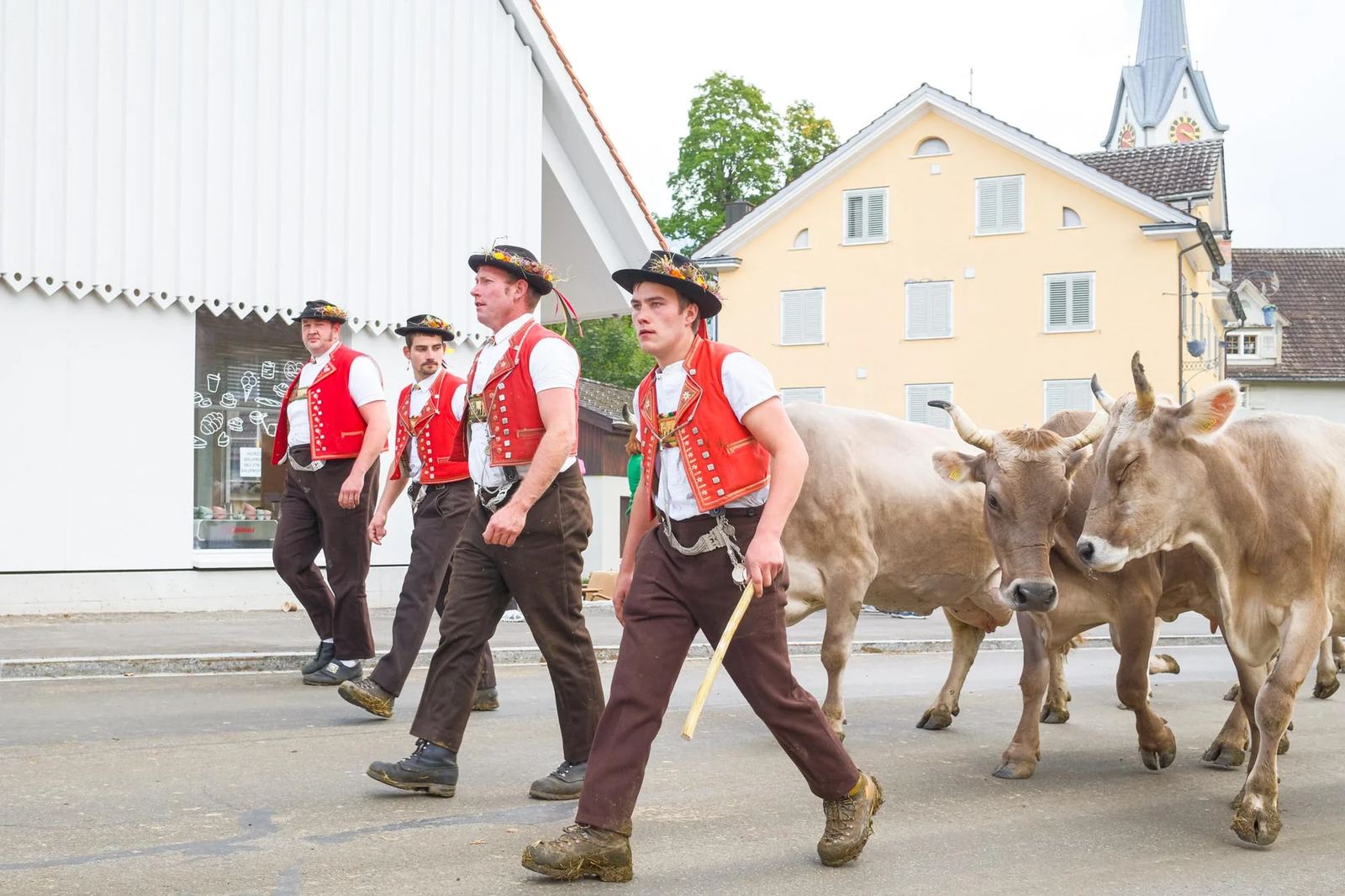 2025 Toggenburg Viehschau Archiv – Foto 155