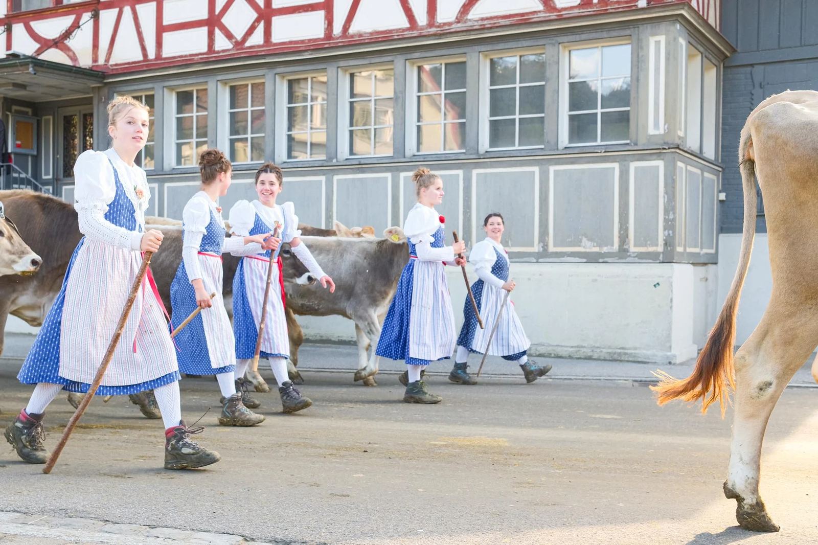 2025 Toggenburg Viehschau Archiv – Foto 160