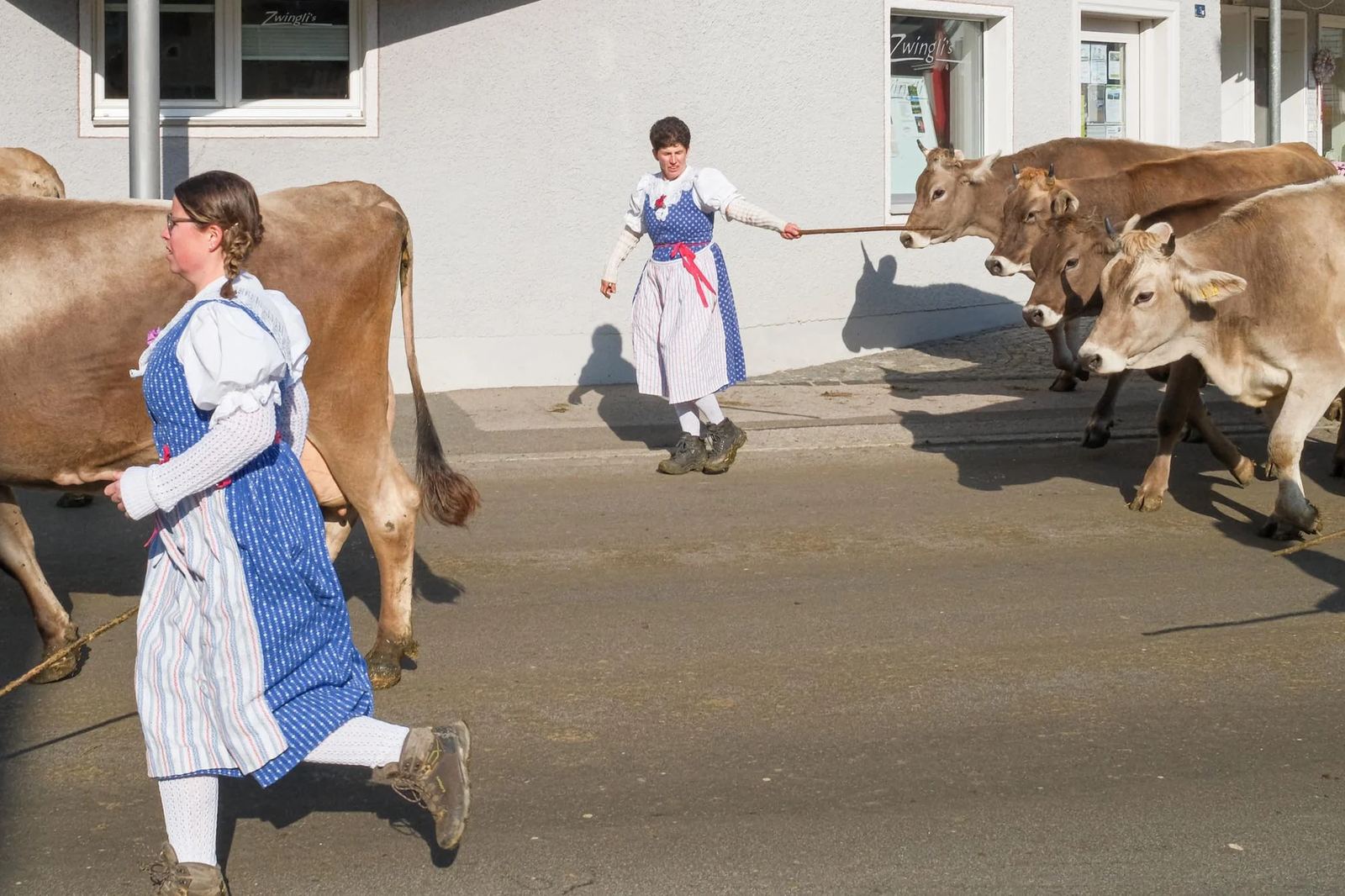 2025 Toggenburg Viehschau Archiv – Foto 163