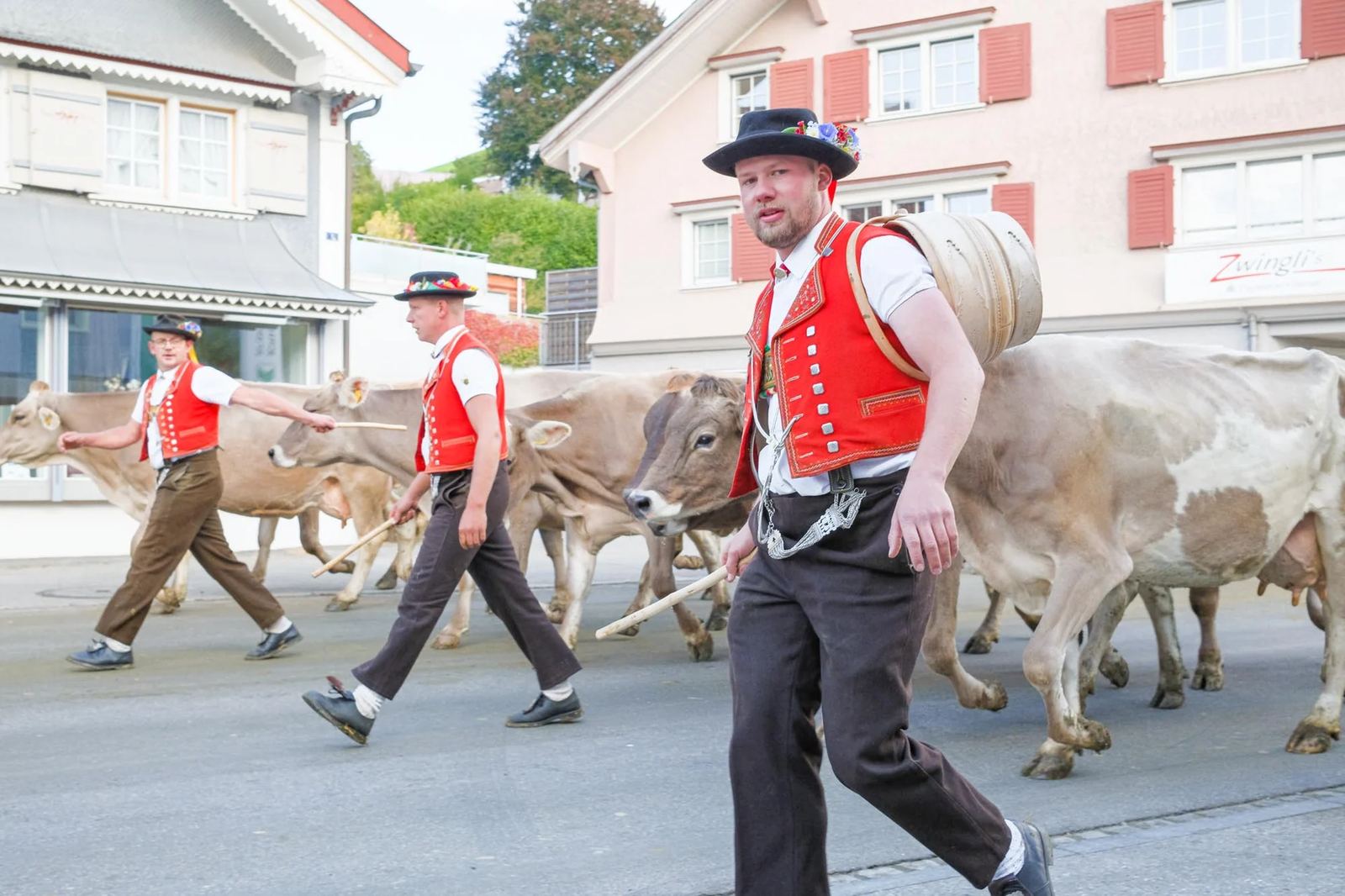 2025 Toggenburg Viehschau Archiv – Foto 170