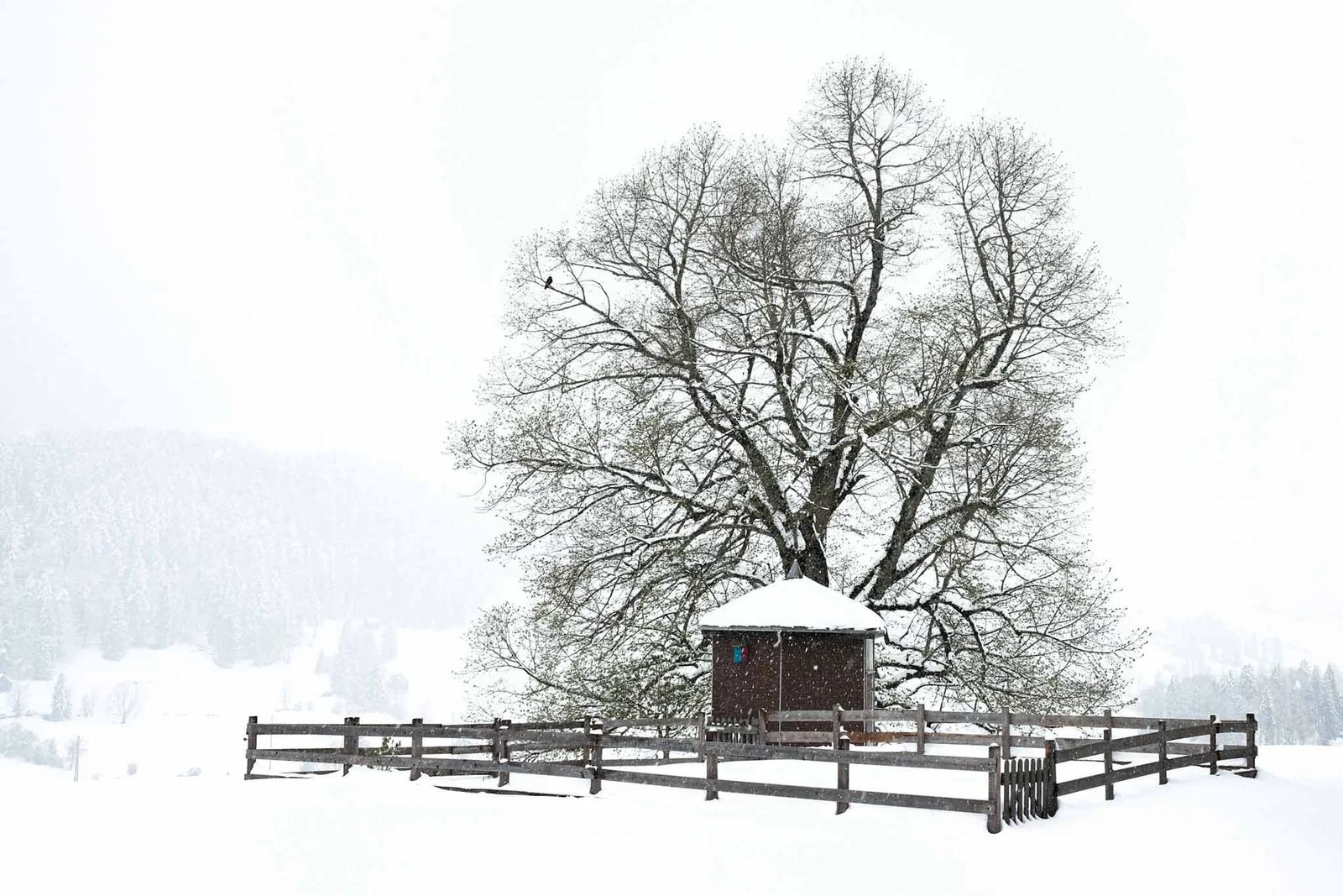 Toggenburg Winter Ende April 2024 – Foto 2