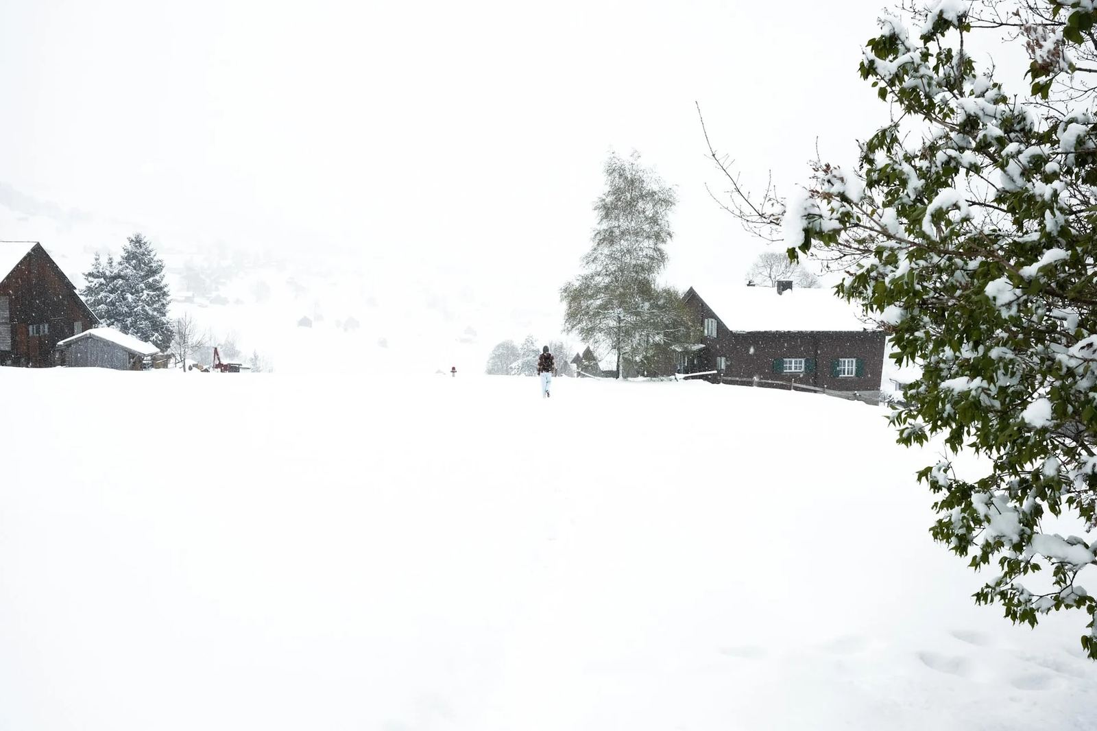 Toggenburg Winter Ende April 2024 – Foto 11