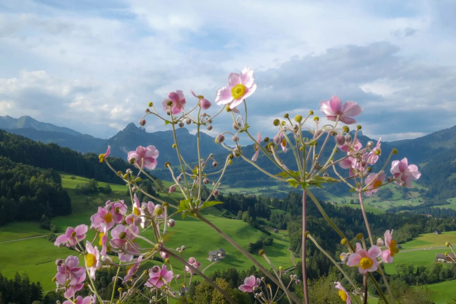 Foto der Woche aus dem Toggenburg – 8