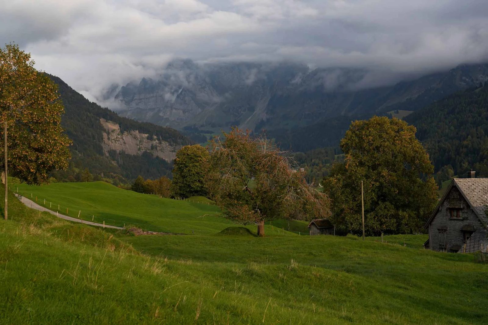 Foto der Woche aus dem Toggenburg – 12