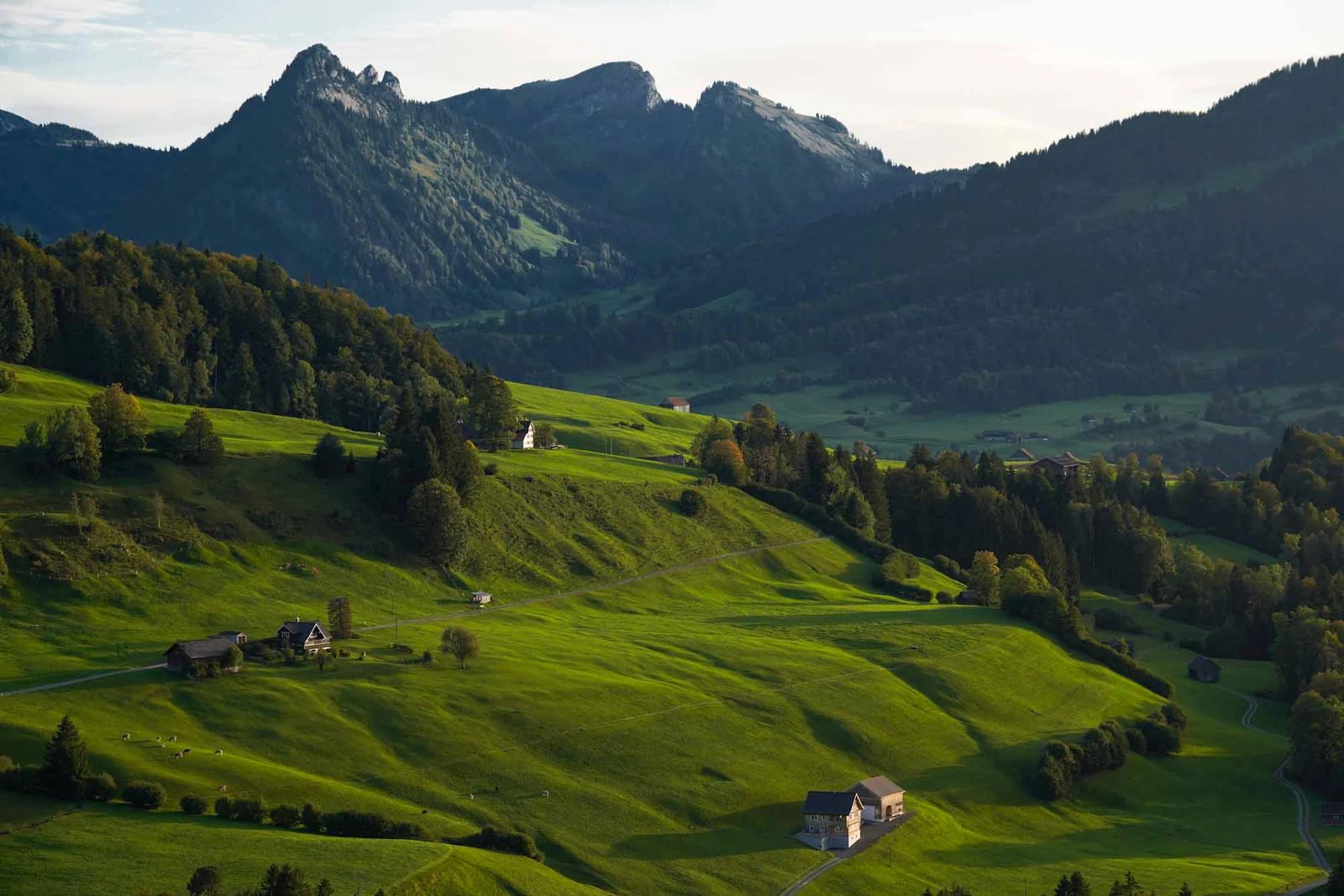 Toggenburg-Fotografie von Sepp Maier – Bild 6