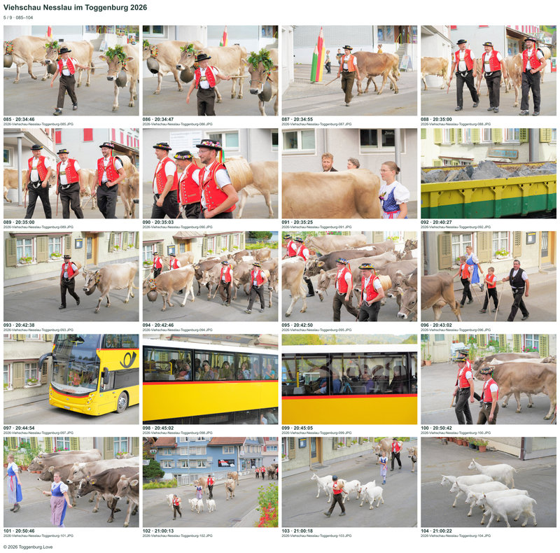 Contact sheet 5 showing photos 085 to 104 from the Nesslau Cattle Show 2026.
