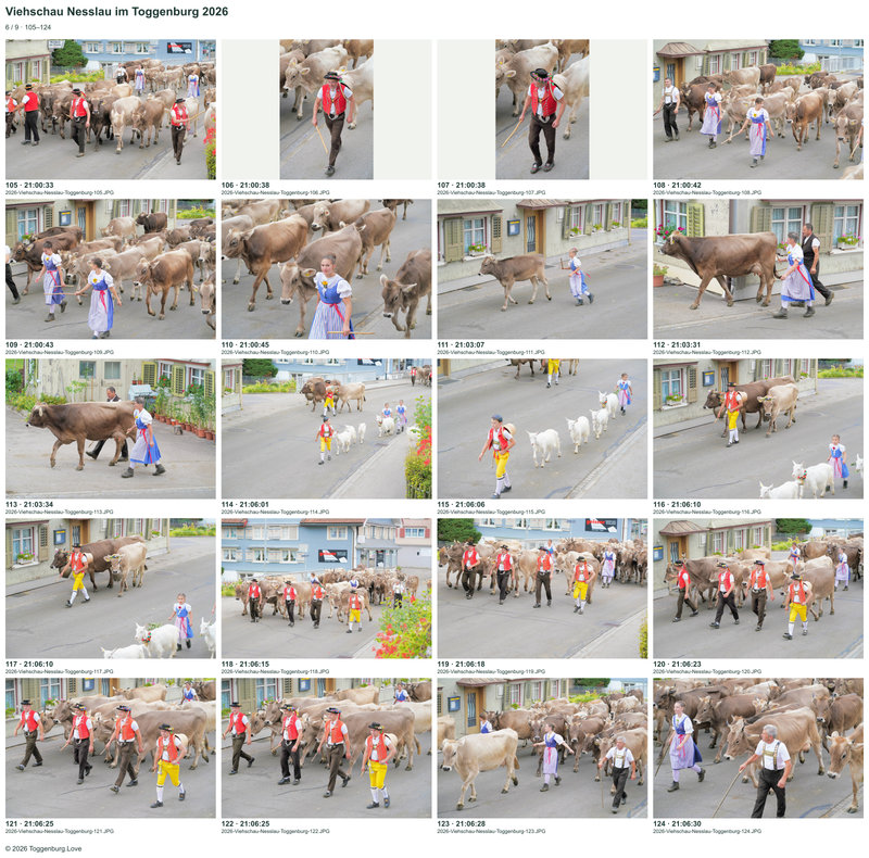 Contact sheet 6 showing photos 105 to 124 from the Nesslau Cattle Show 2026.