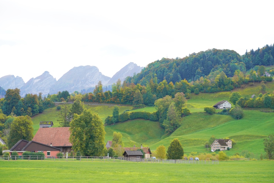 Green meadows and scattered houses below wooded slopes and rocky mountain peaks.