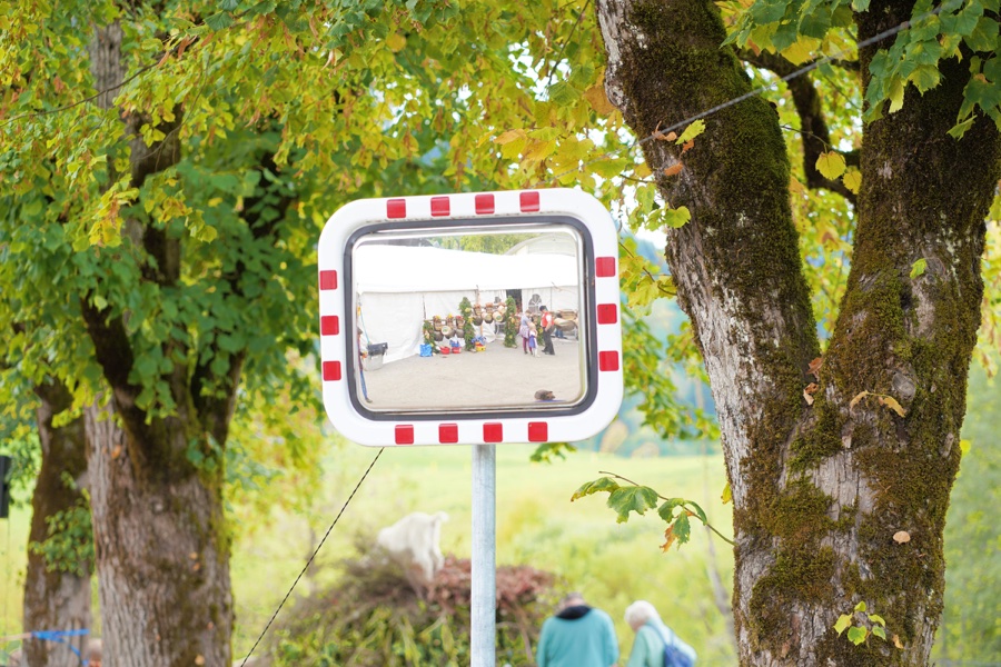 Road mirror among autumn trees reflecting the cattle show.