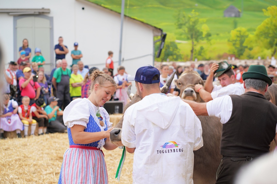 A young woman in blue-striped traditional dress beside men in white shirts among the cows.