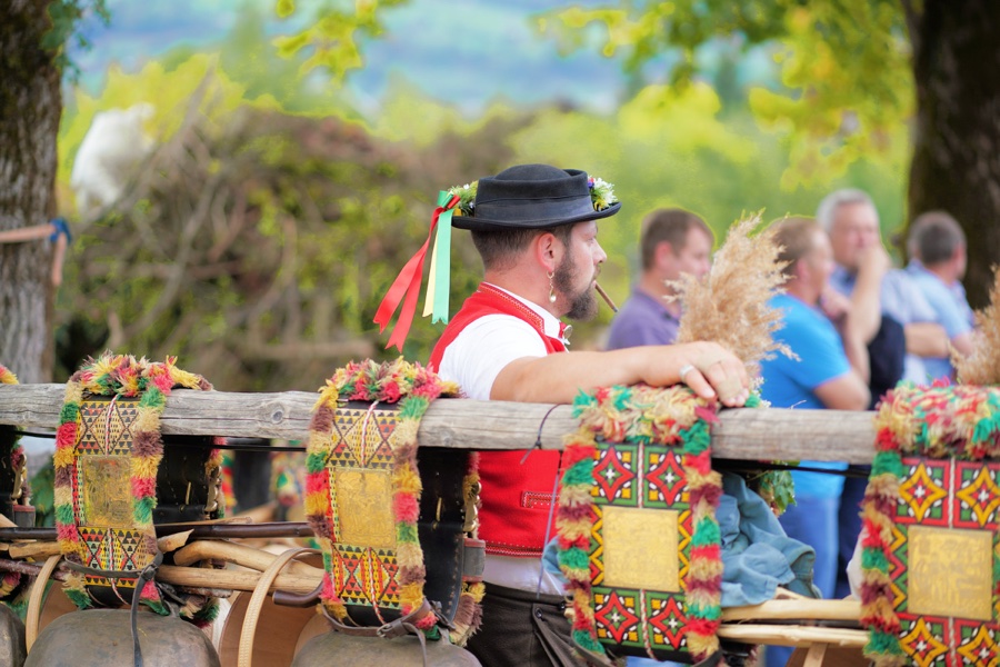 A man wearing a red waistcoat behind a railing with colourfully decorated cowbells.