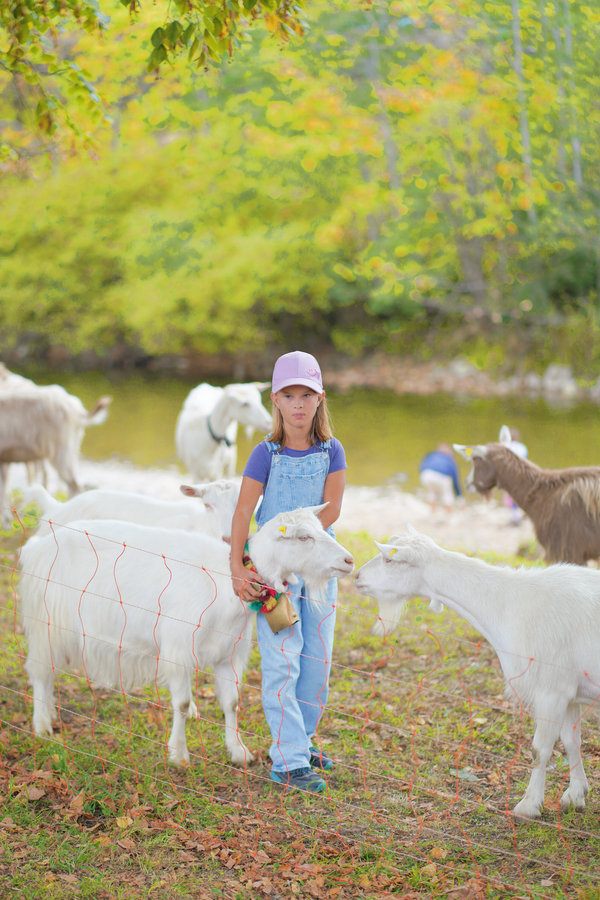 A child in dungarees and a cap among goats in front of autumn trees.